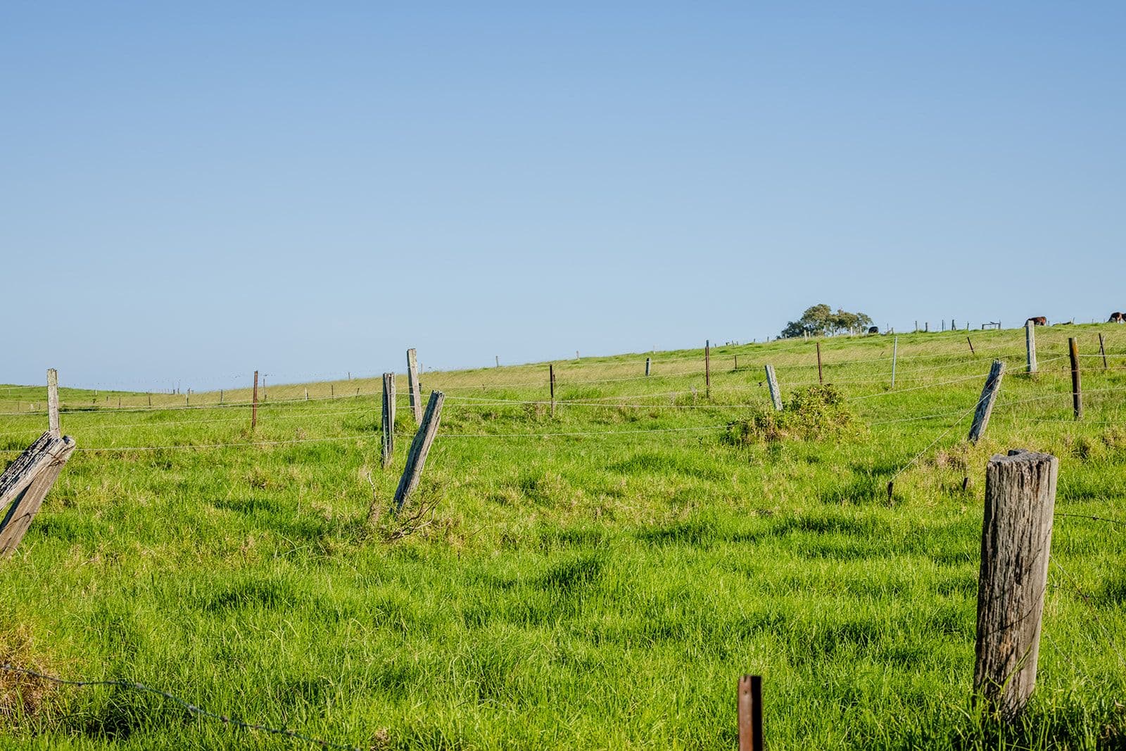 Lot 3 "Serenity Ridge", 510 Beach Road, Berry NSW 2535, Berry - Thumbnail 7