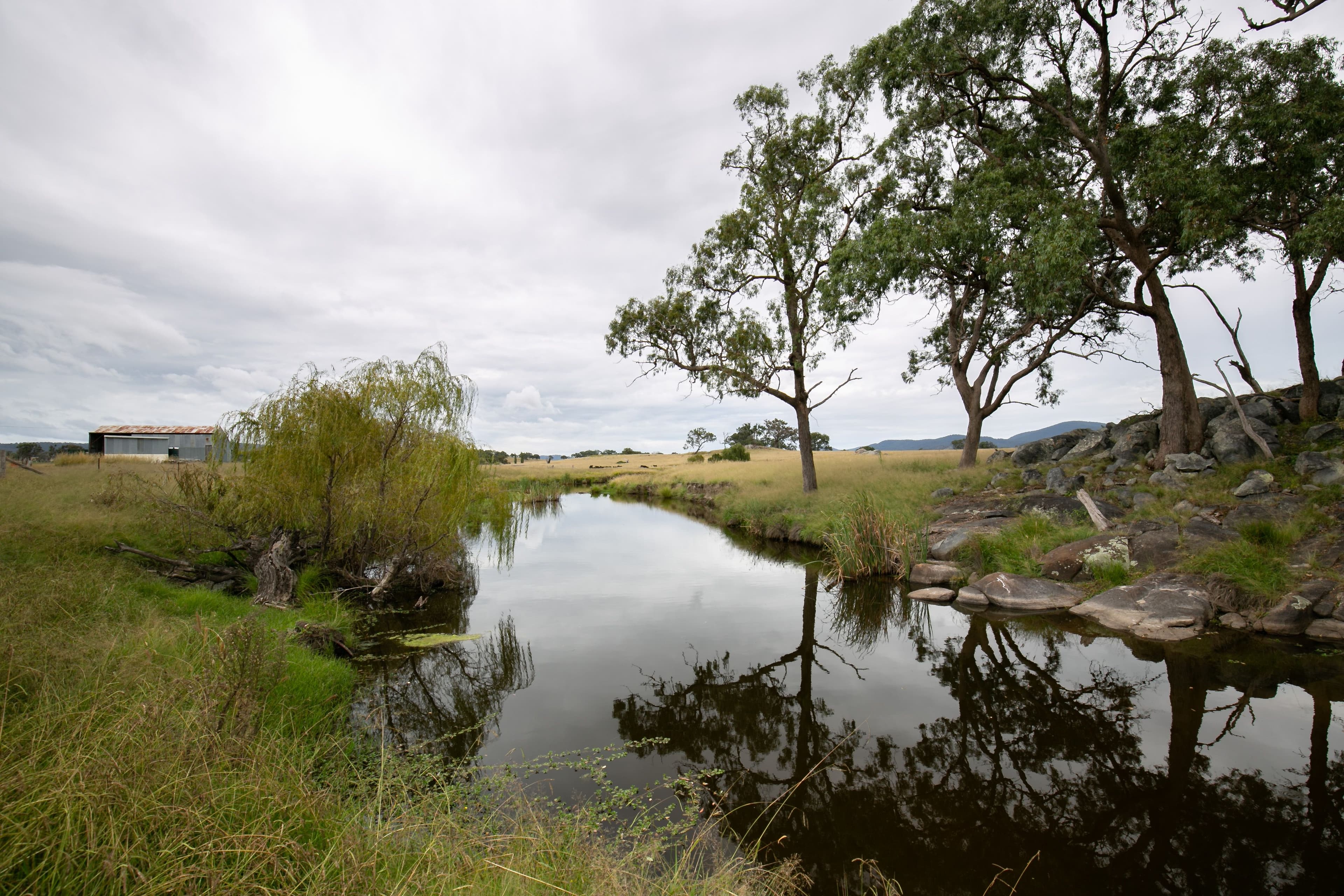 1158 Bruxner Highway, Tenterfield NSW 2372, Tenterfield - Thumbnail 3