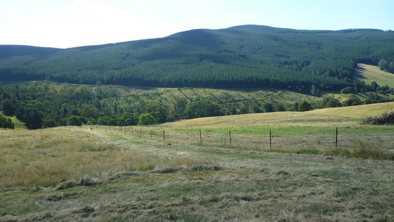 Lot 3 Old Tumbarumba Road, Tumut NSW 2720, Tumut - Thumbnail 4