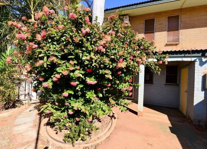 31 Catamore Road, South Hedland WA 6722, South Hedland - Thumbnail 4