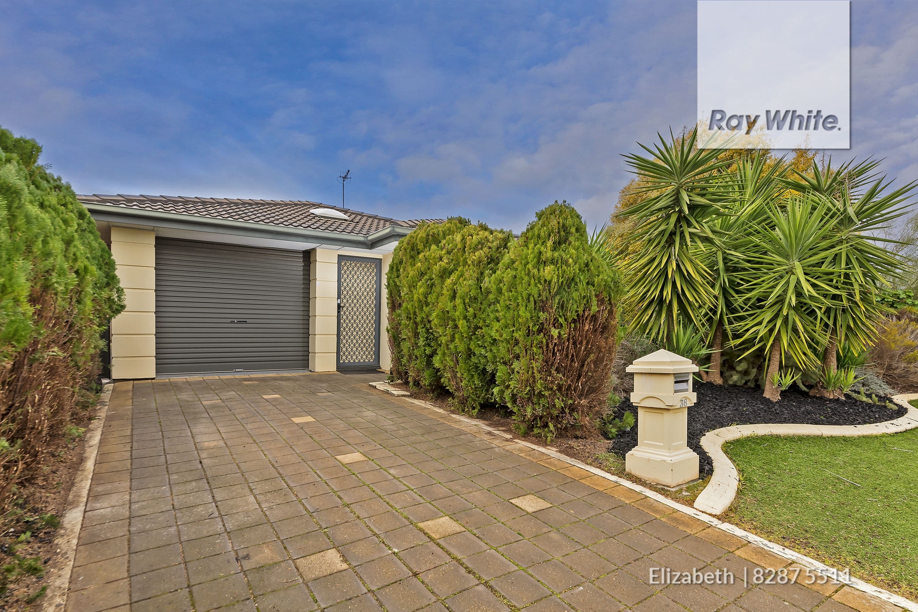 38 Yeovil Circuit, Craigmore SA 5114, Craigmore - Thumbnail 5