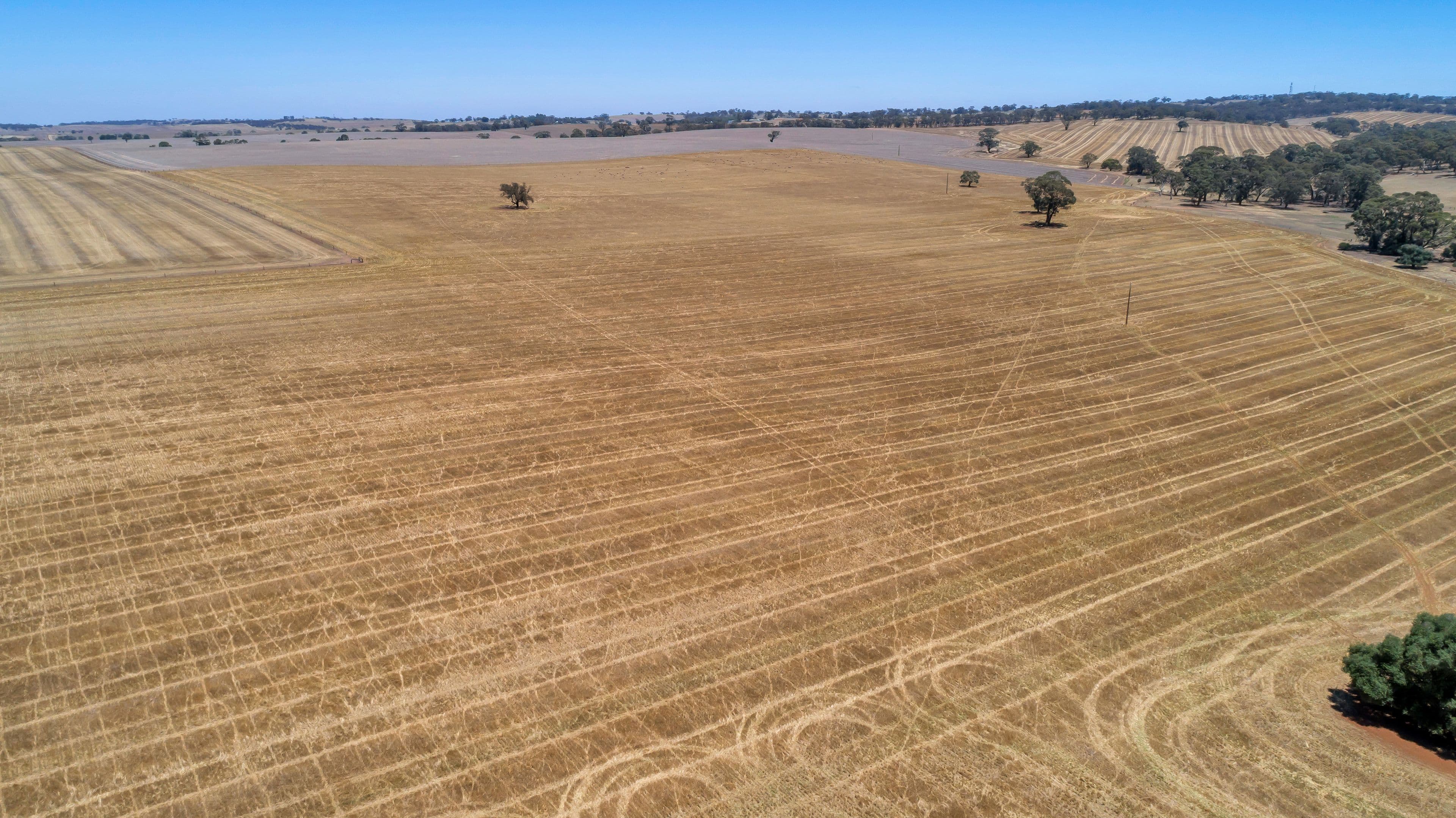 Lot 202 Avondale Road, Riverton SA 5412, Riverton - Image 1