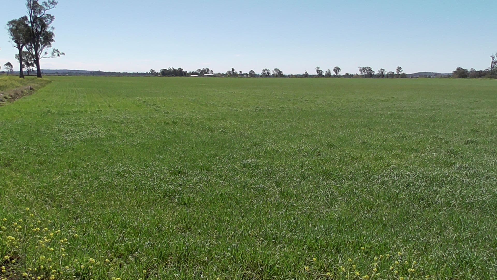 Wondai QLD 4606, Wondai - Image 1