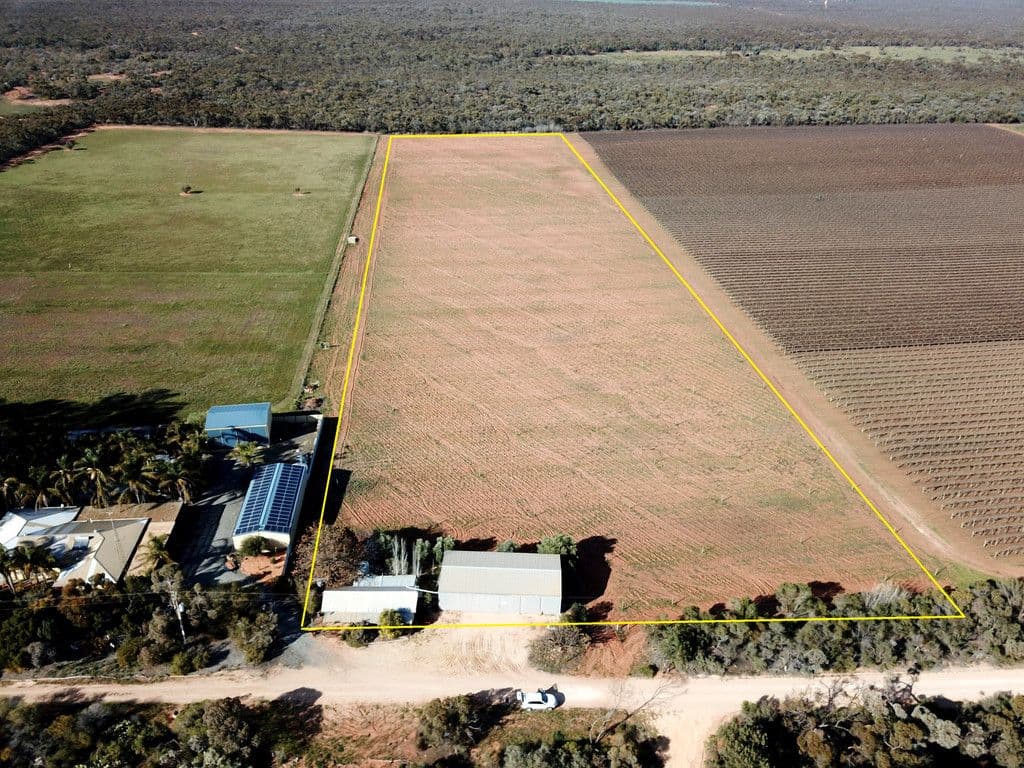 332 Costello Road, Loveday SA 5345, Loveday - Thumbnail 3