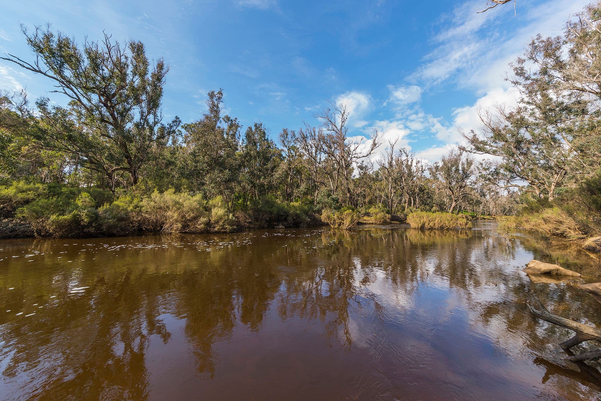 121 Barrabup Road, Nannup WA 6275, Nannup - Thumbnail 2