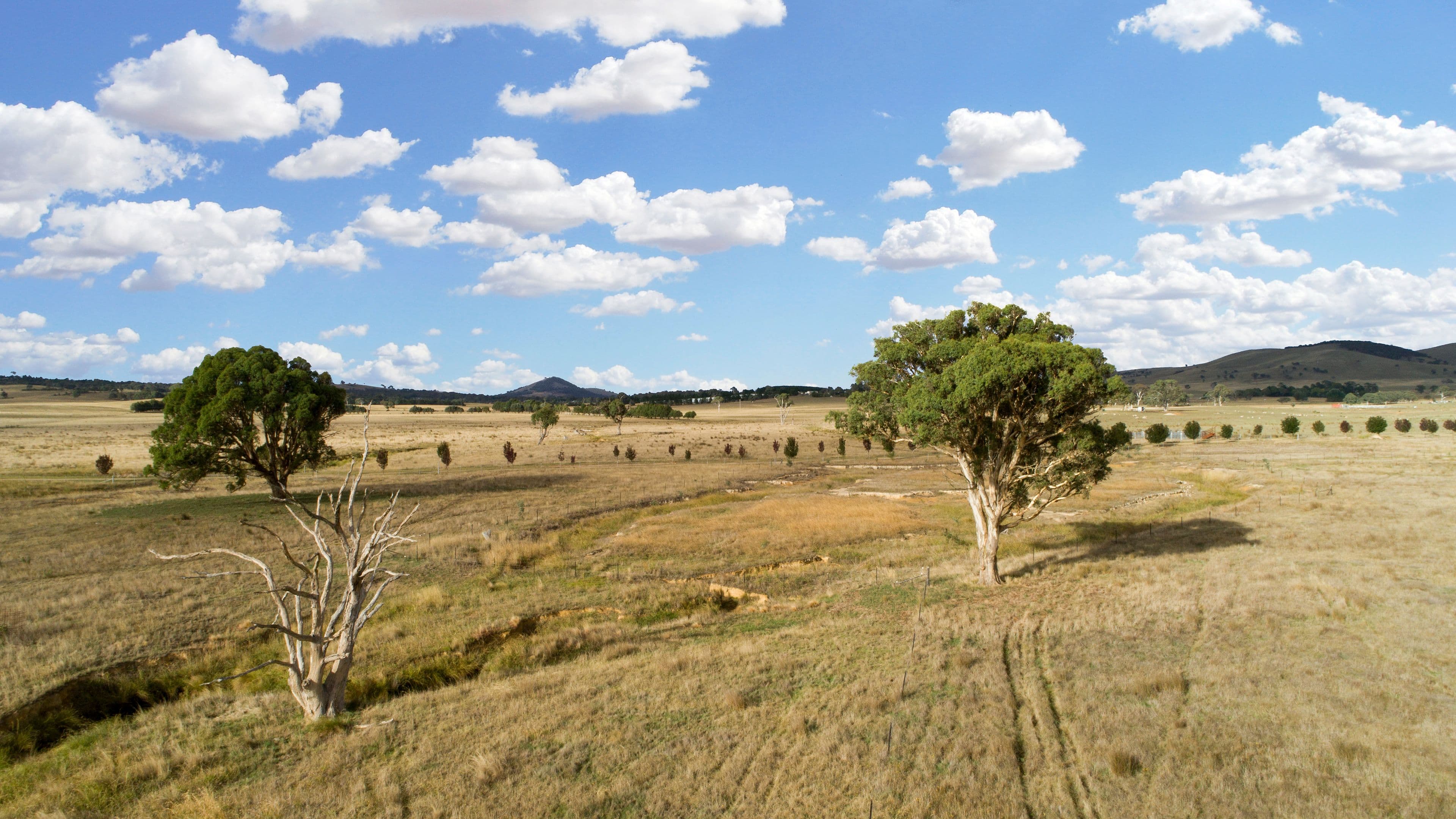 Lot 2, 72 Birril Close, Springrange NSW 2618, Springrange - Thumbnail 6
