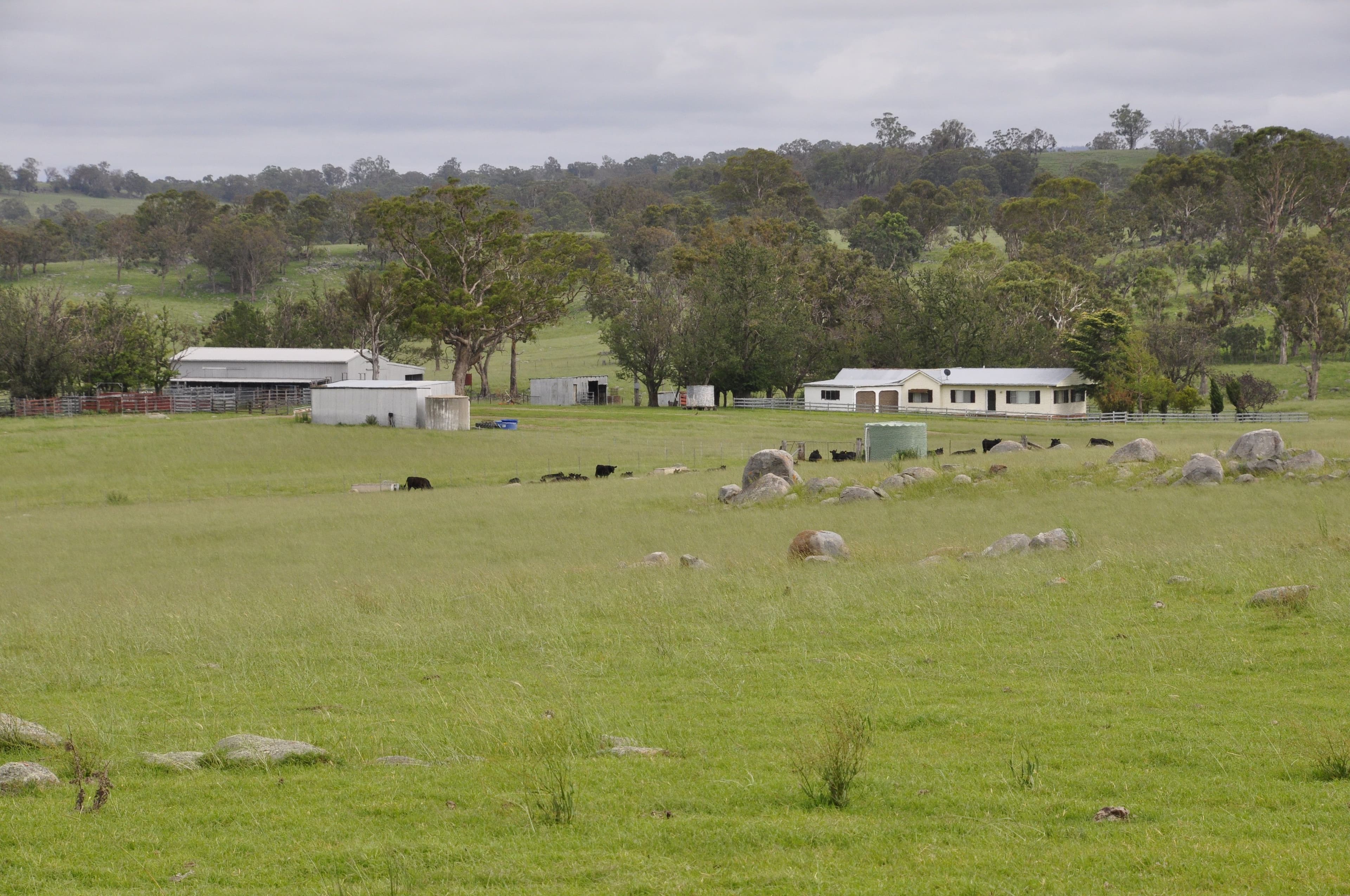 579 Wellington Vale Road, Deepwater NSW 2371, Deepwater - Thumbnail 2