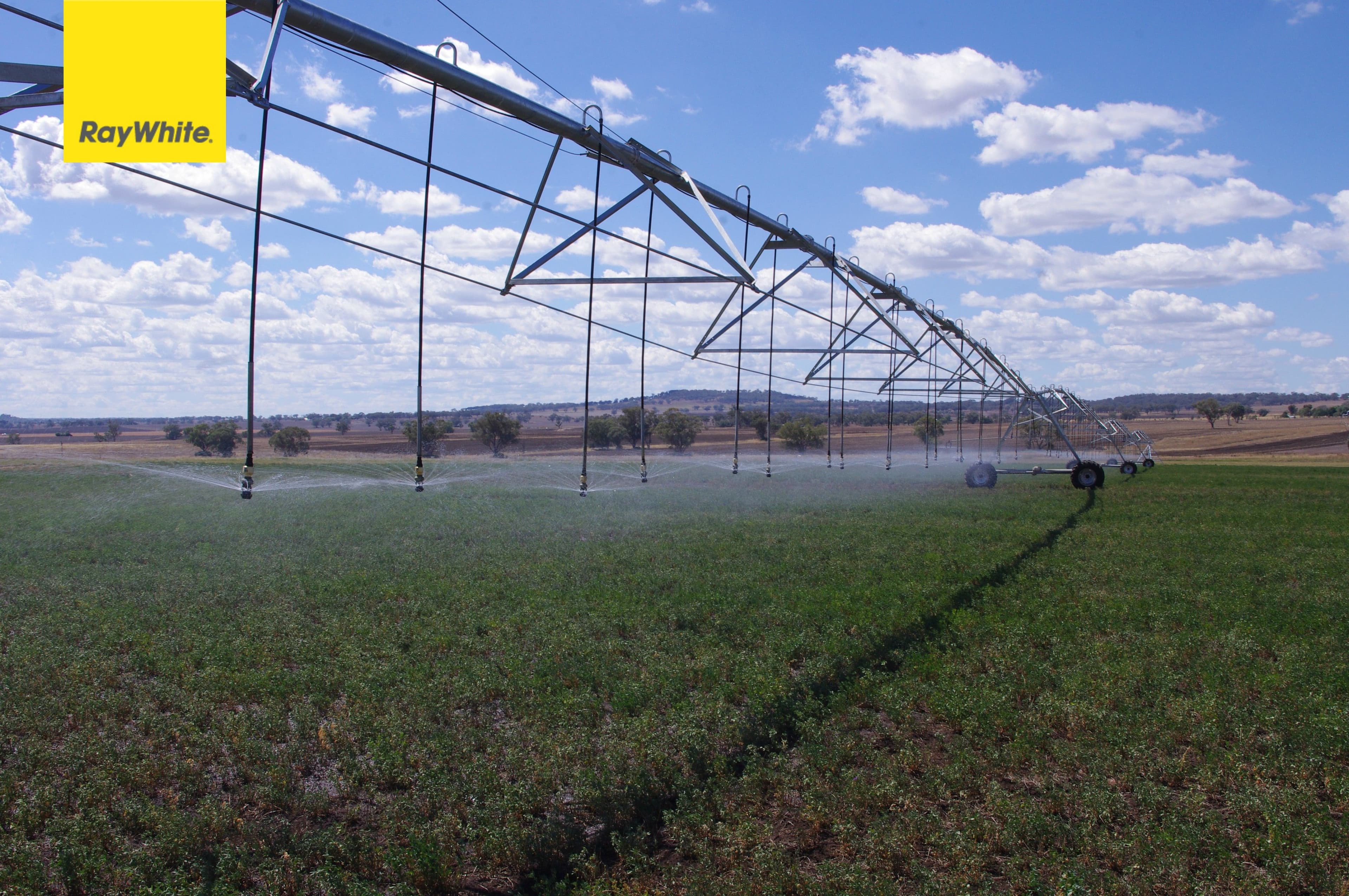 Inverell NSW 2360, Inverell - Image 1