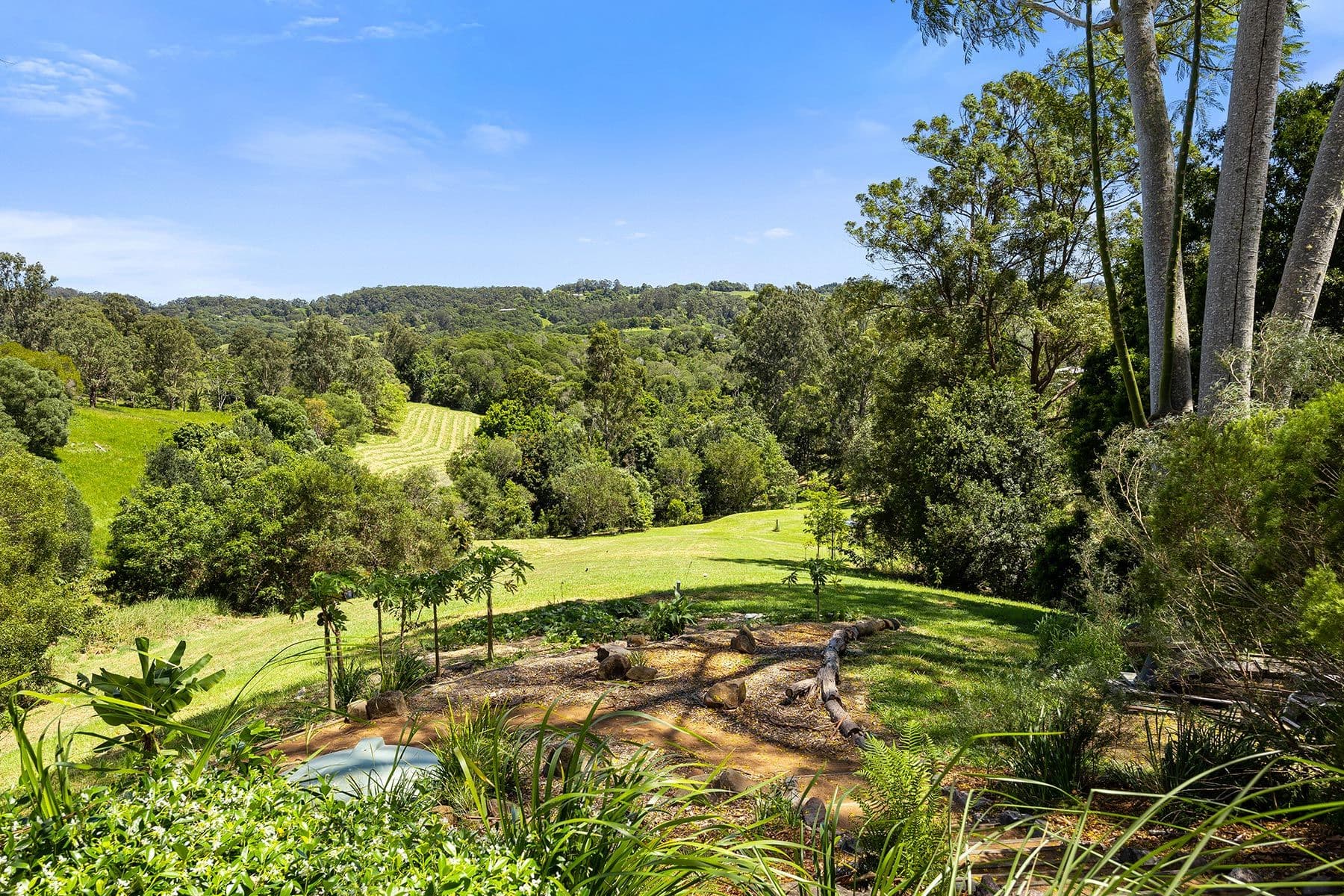 68 Top Forestry Road, Ridgewood QLD 4563, Ridgewood - Thumbnail 5