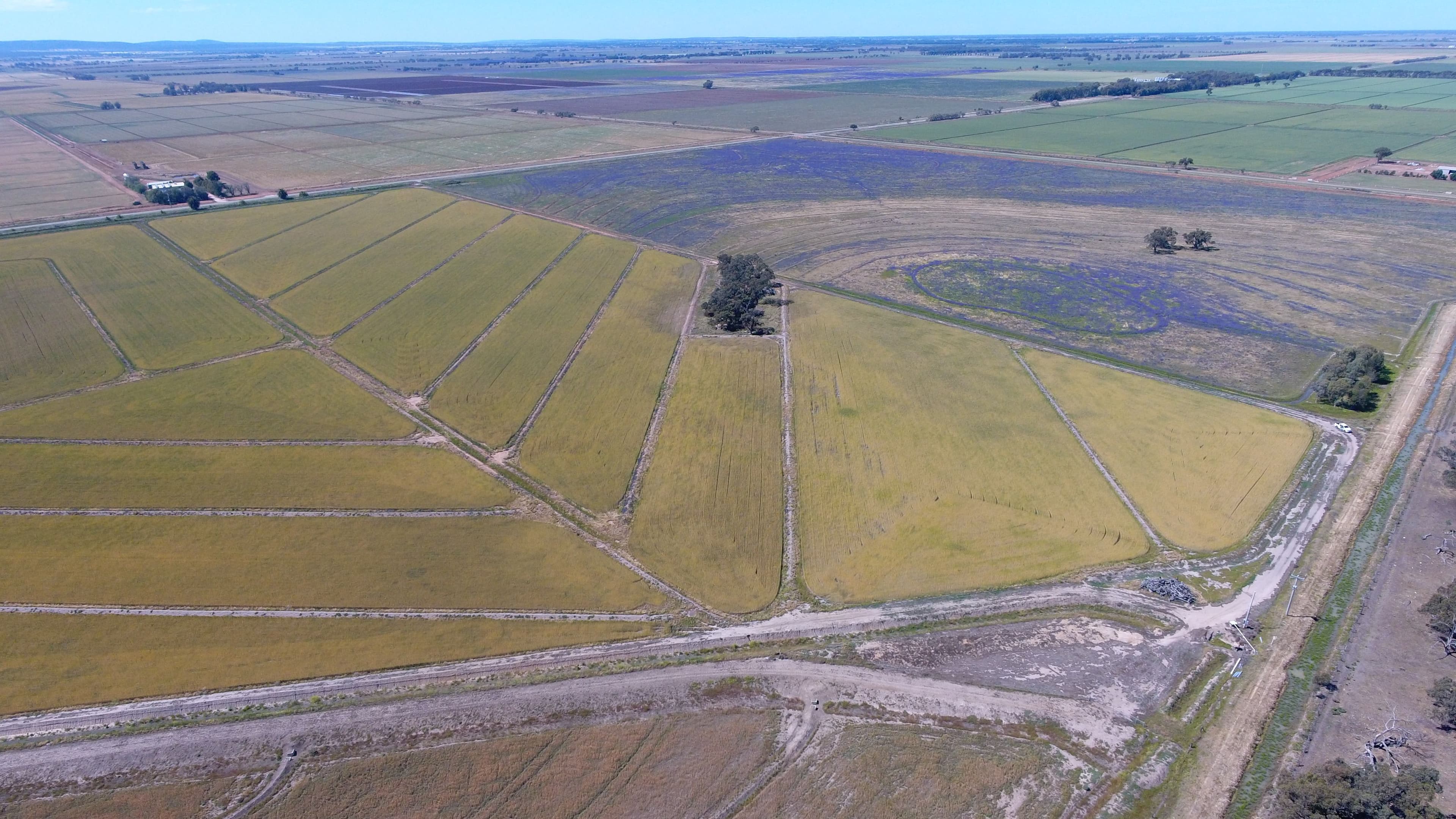 "Part Farm" 1078, Murrami NSW 2705, Murrami - Thumbnail 5