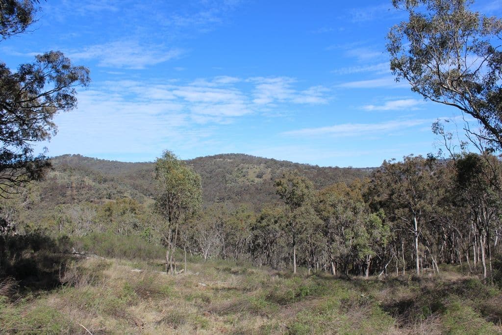 Lot 5 New England Highway, THE GLEN QLD 4370, The Glen - Image 1