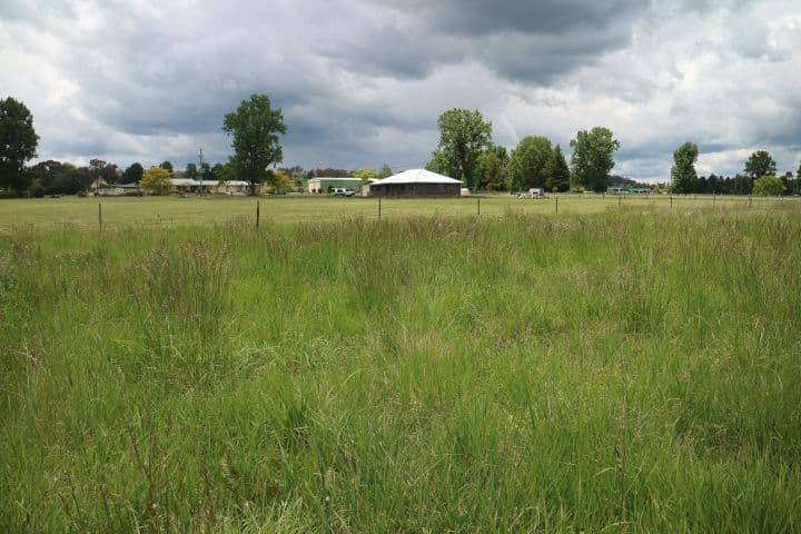 538A Grey, Glen Innes NSW 2370, Glen Innes - Thumbnail 5