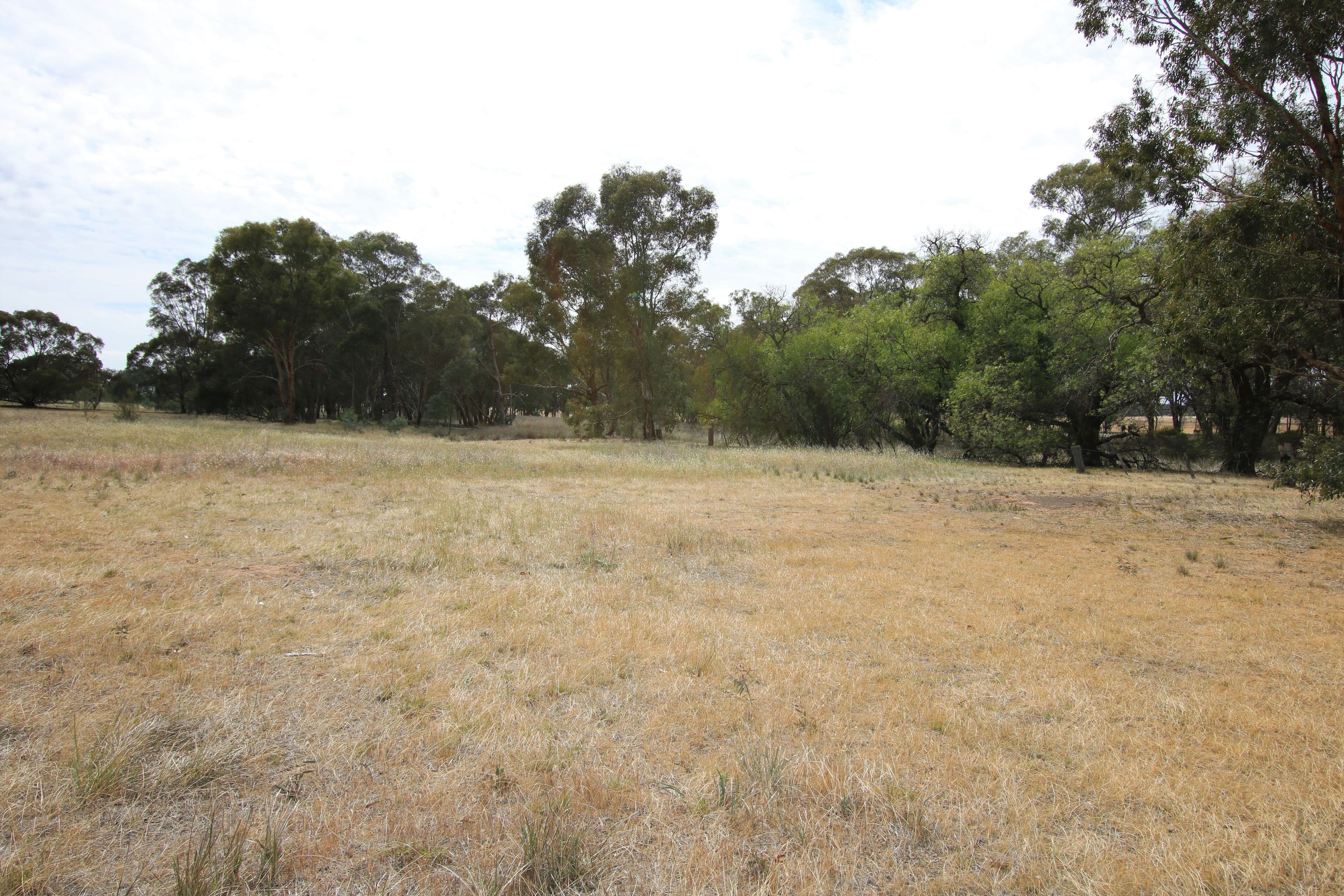 00 Charlton-St Arnaud Road, St Arnaud VIC 3478, St Arnaud - Thumbnail 4