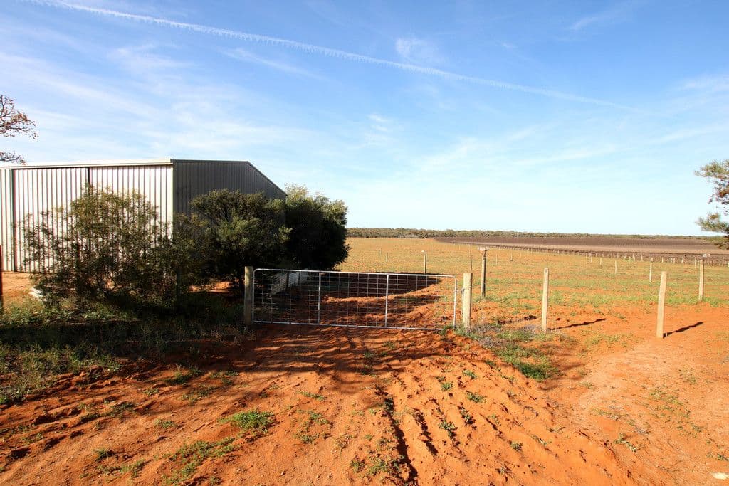 332 Costello Road, Loveday SA 5345, Loveday - Thumbnail 6