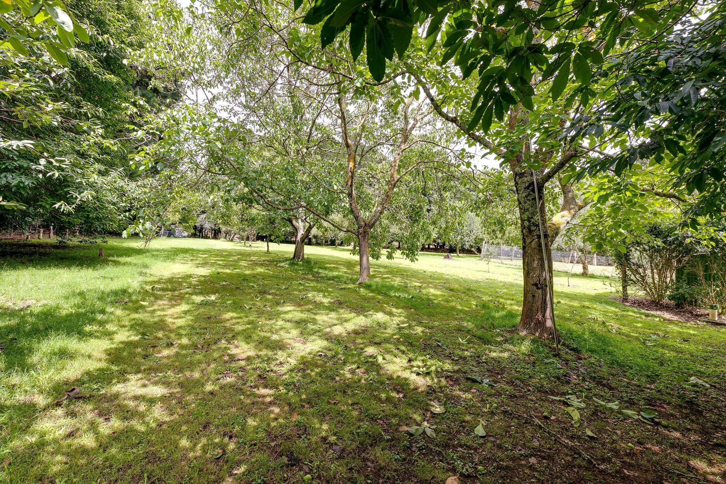 11 Olsson Road, Neerim North VIC 3832, Neerim North - Thumbnail 3