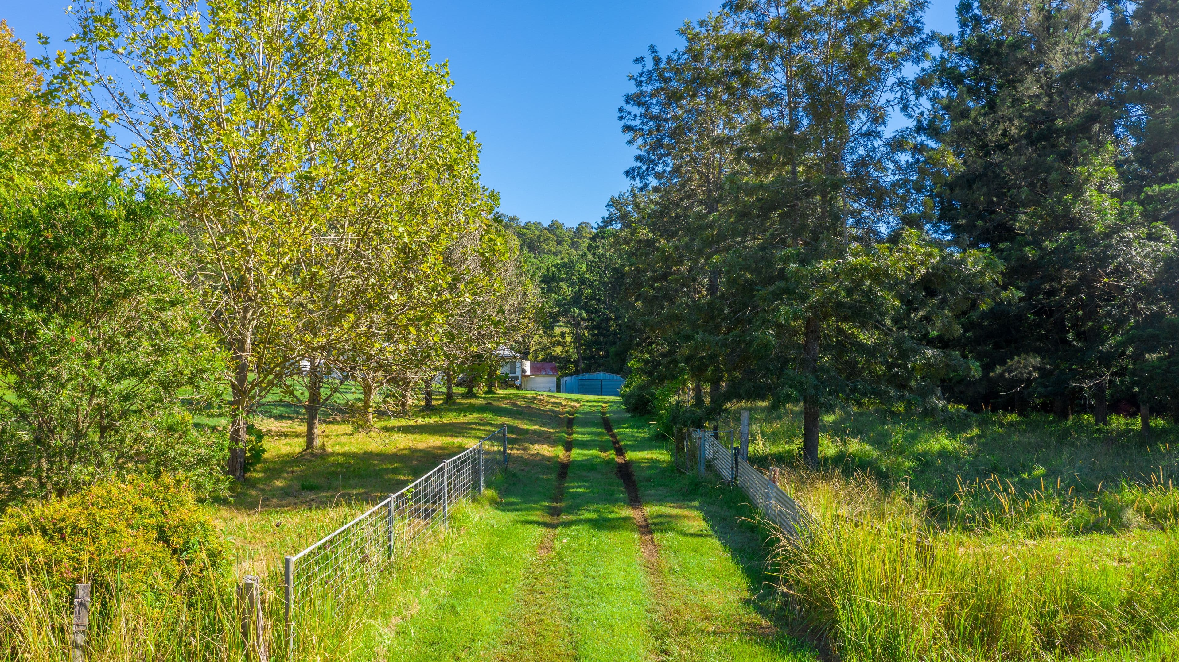 937 Duck Creek Road, Old Bonalbo NSW 2469, Old Bonalbo - Thumbnail 5