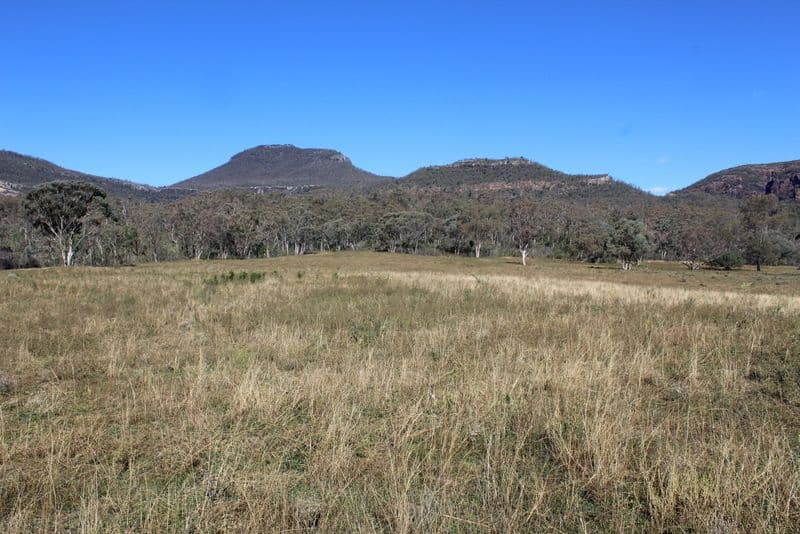 " Wilga Valley", Edgeroi NSW 2390, Edgeroi - Thumbnail 5