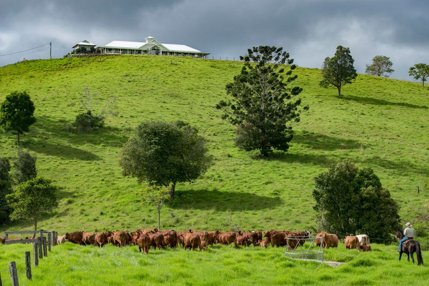 24 Duncan Road, Mount Mee QLD 4521, Mount Mee - Thumbnail 2