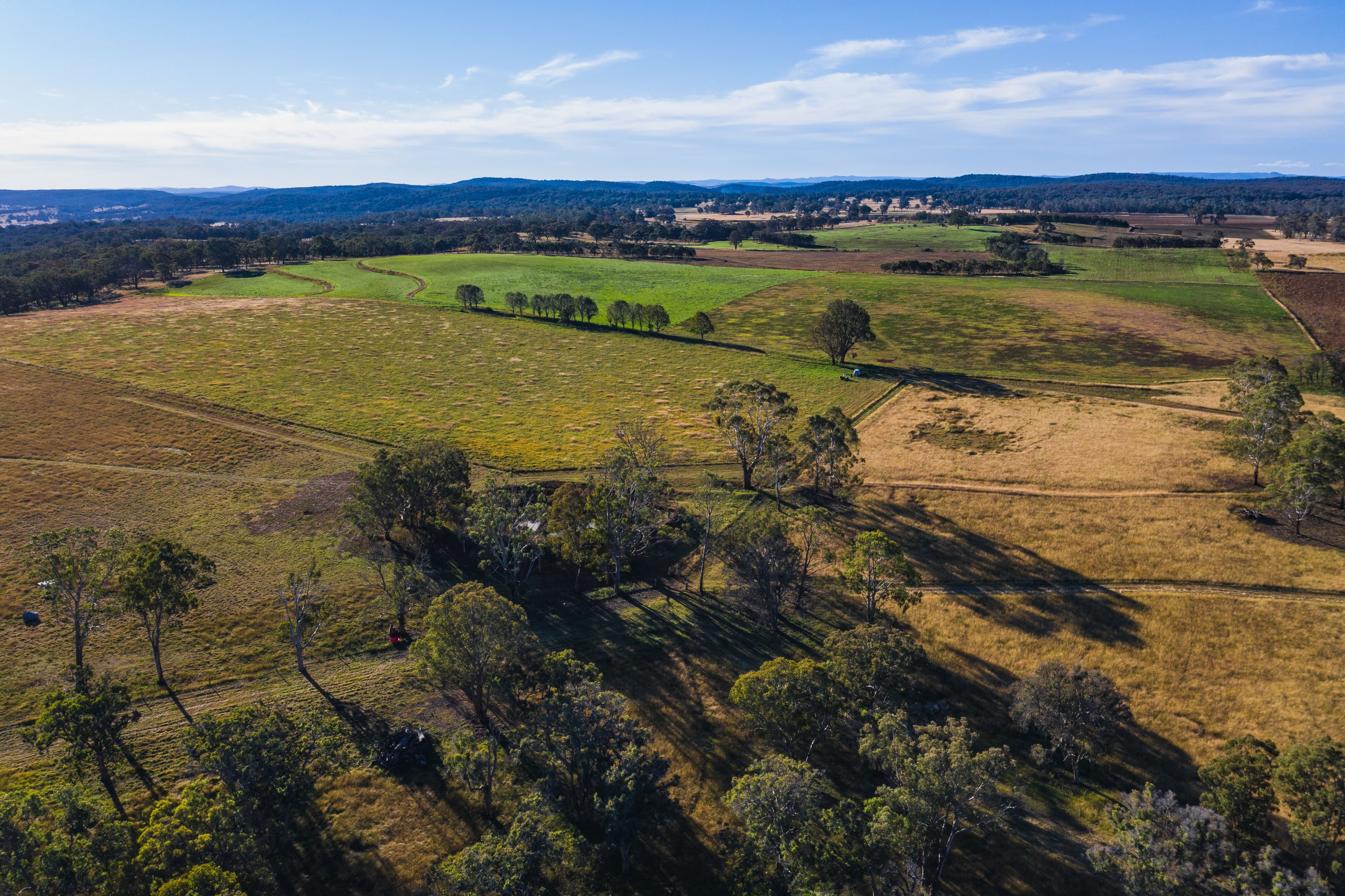389 Oslo Road, Reddestone NSW 2370, Reddestone - Thumbnail 2