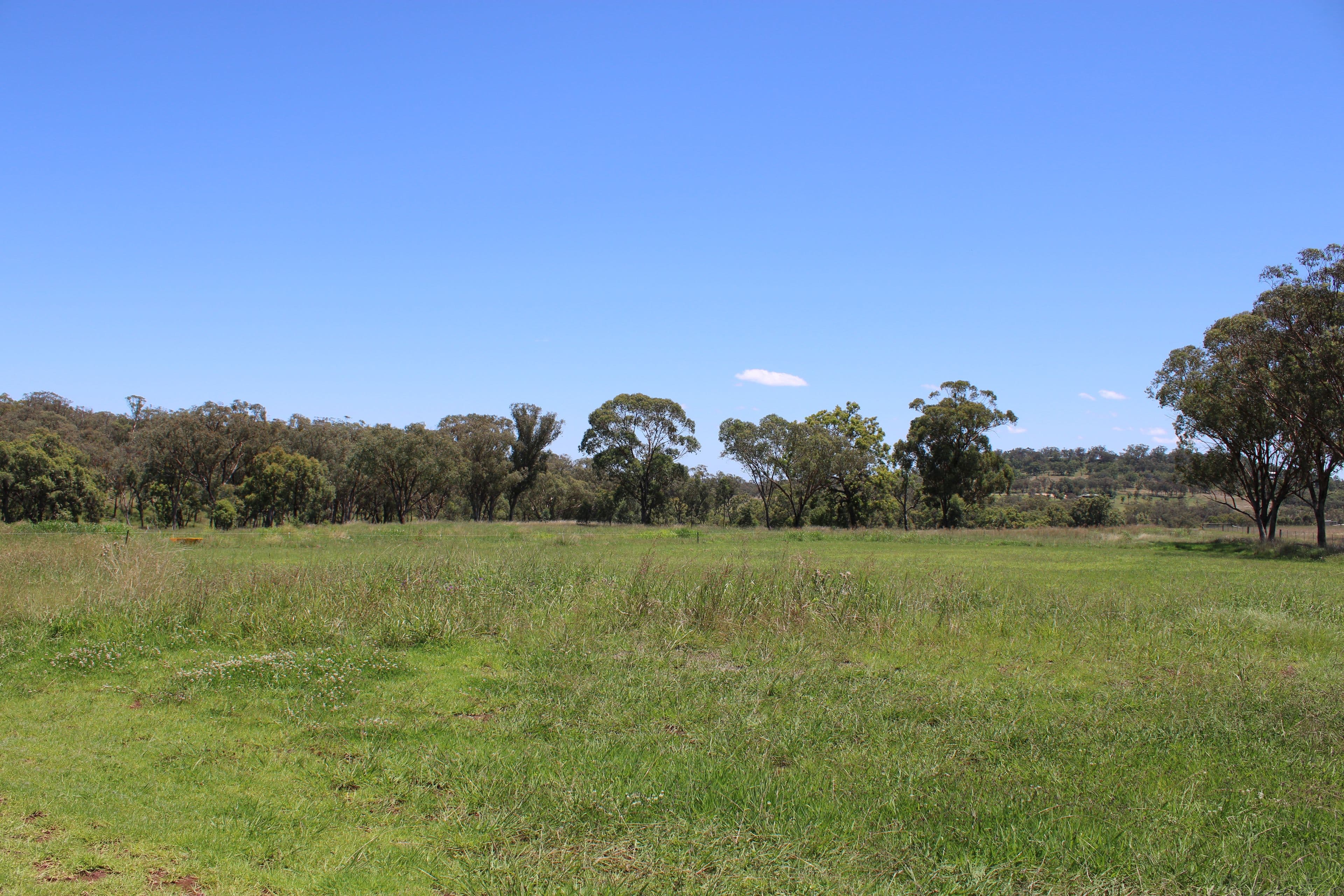 13 Bullamungee Close, Inverell NSW 2360, Inverell - Thumbnail 2