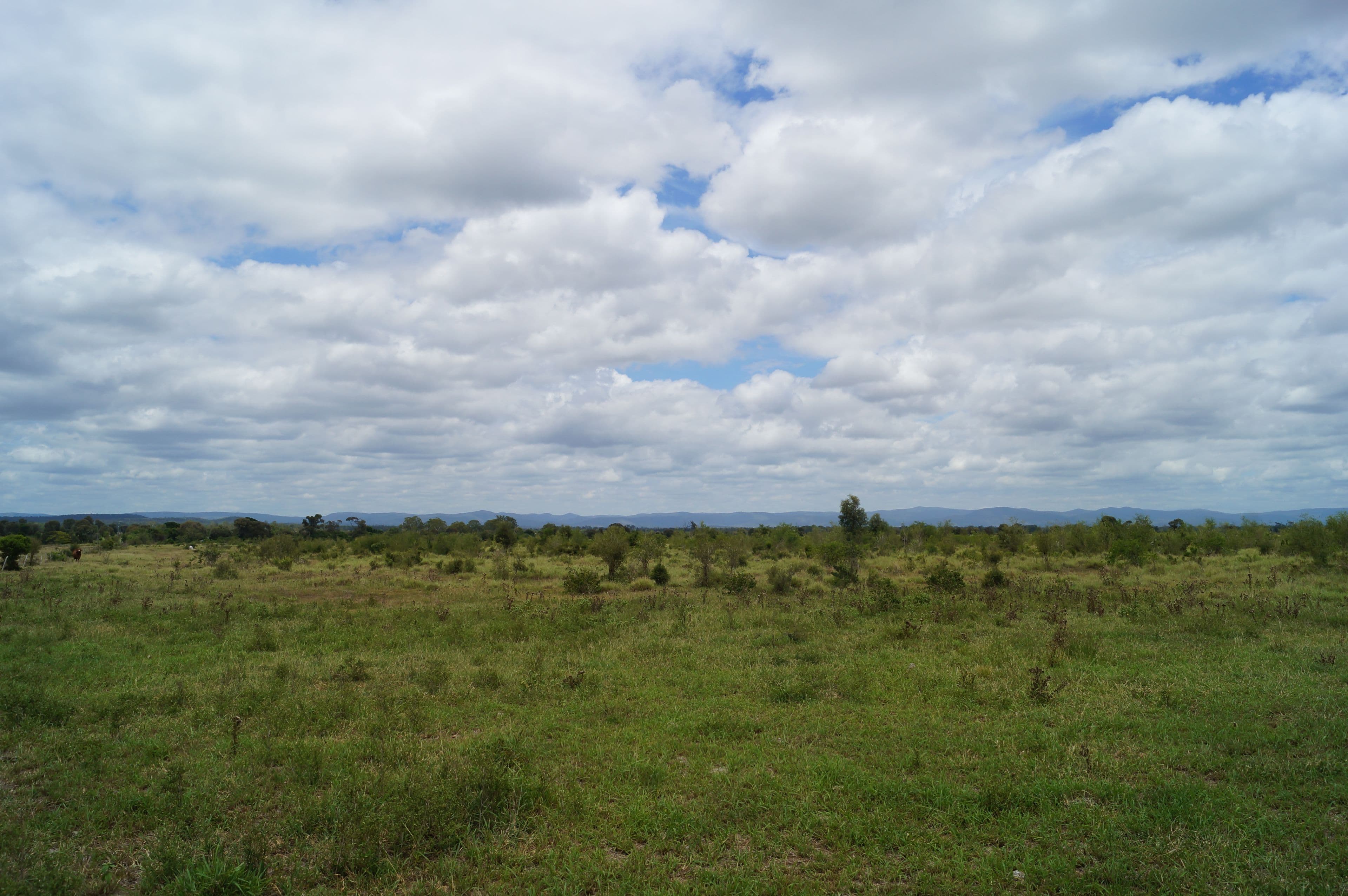 2 Styx Road, Ogmore QLD 4706, Ogmore - Thumbnail 4