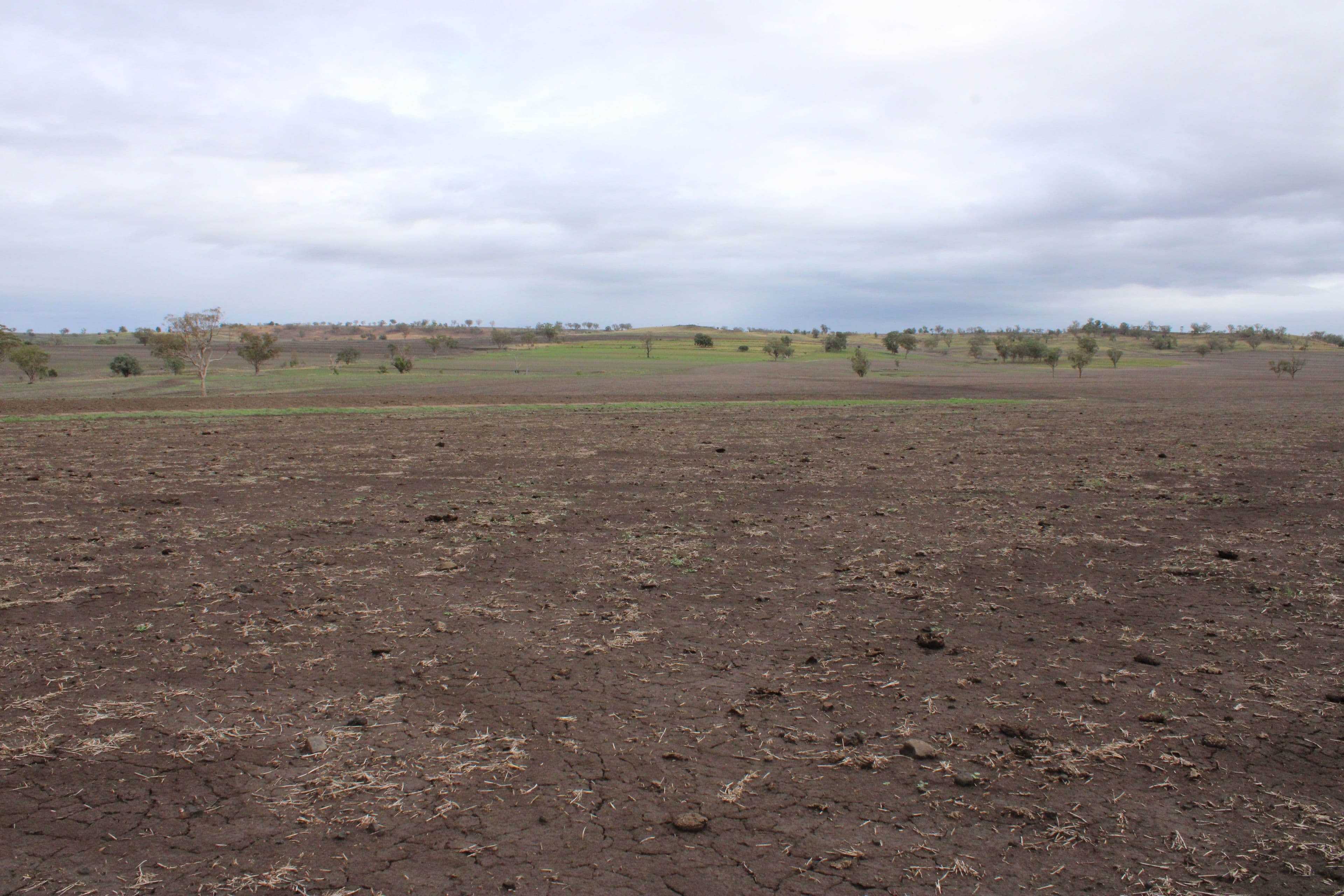 Inverell NSW 2360, Inverell - Thumbnail 8