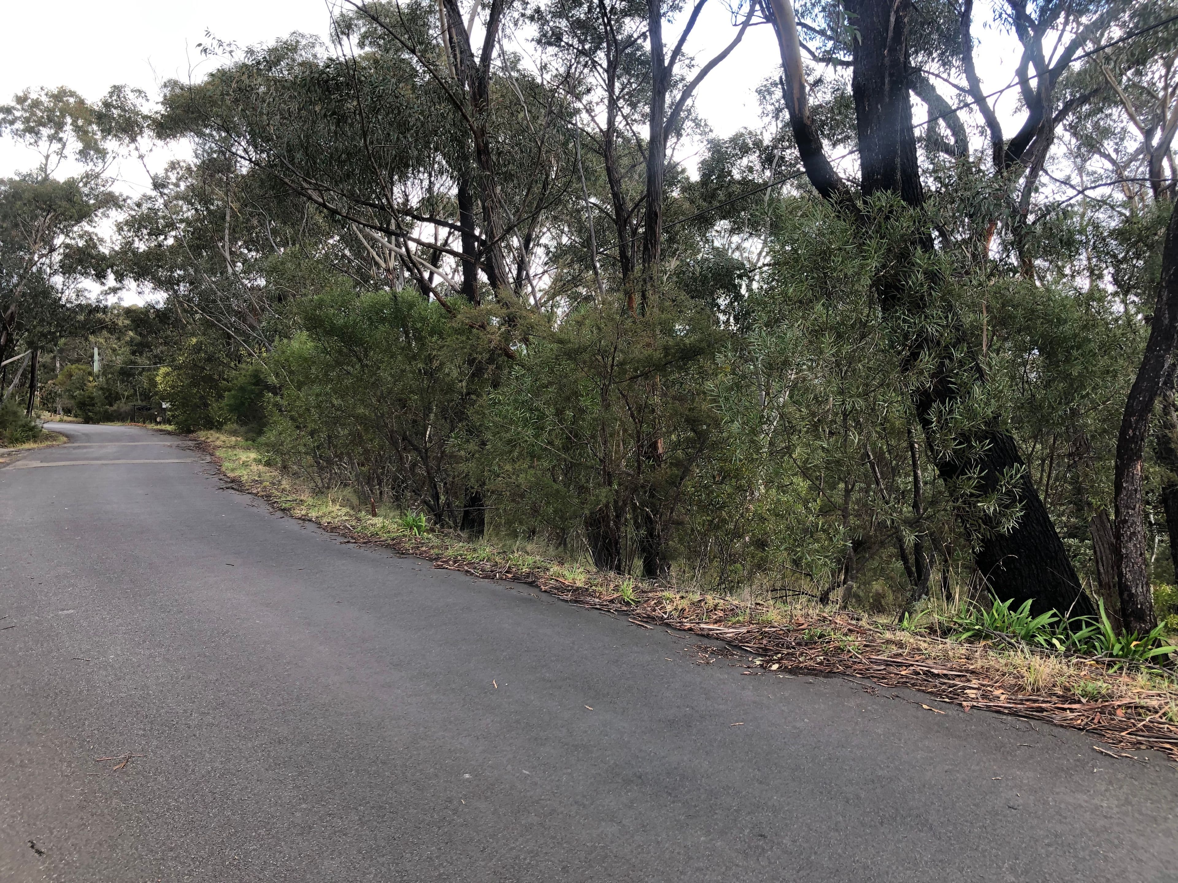 25 Innes Road, Mount Victoria NSW 2786, Mount Victoria - Image 1