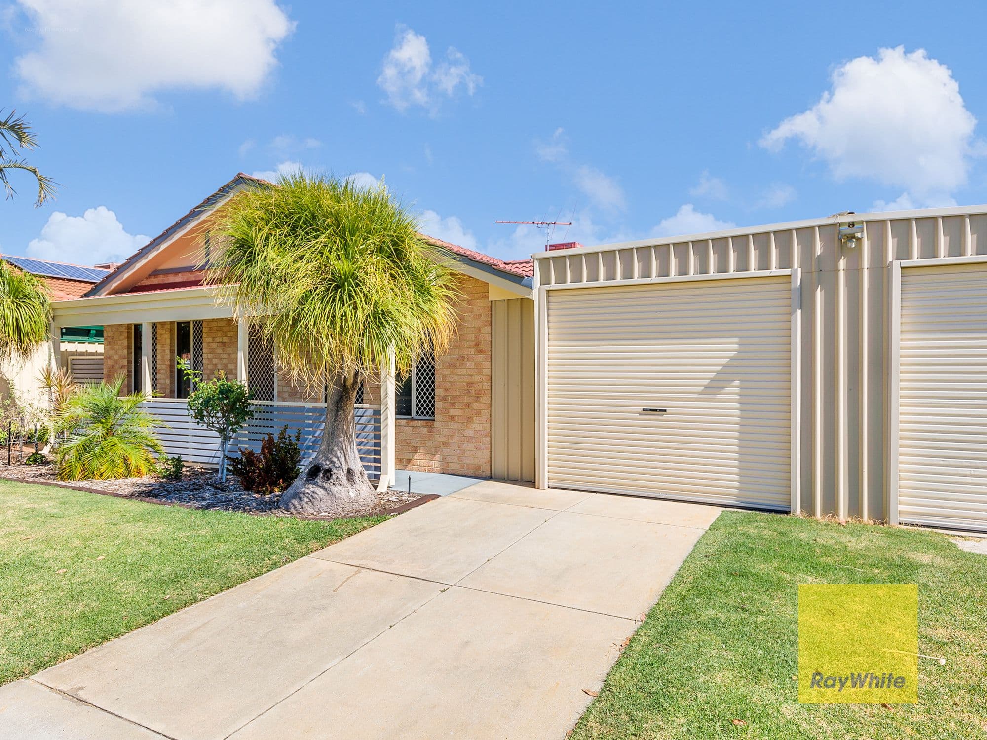 99 Homestead Road, Gosnells WA 6110, Gosnells - Thumbnail 5