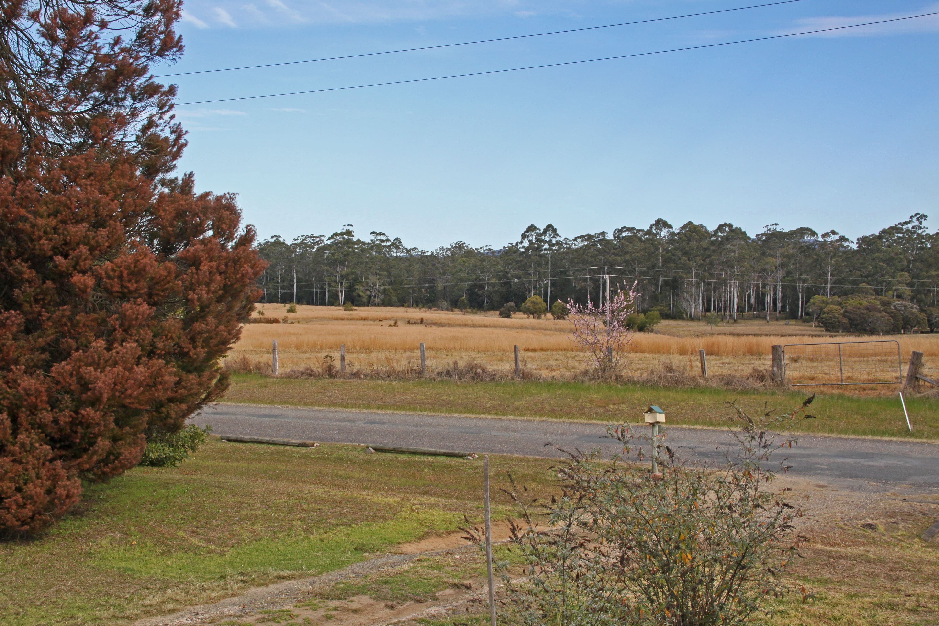 99 Bobs Creek Road, BOBS CREEK NSW 2439, Bobs Creek - Thumbnail 3