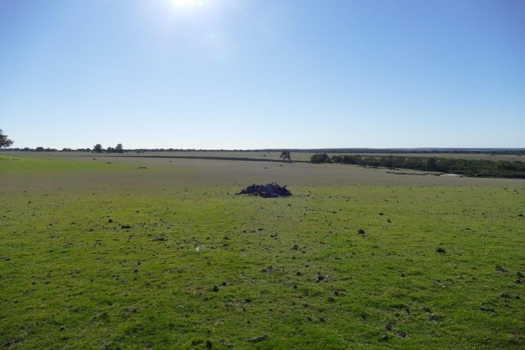 Twin Rivers Farm, 1960 Wannamal Road West, Gingin WA 6503, Gingin - Thumbnail 5