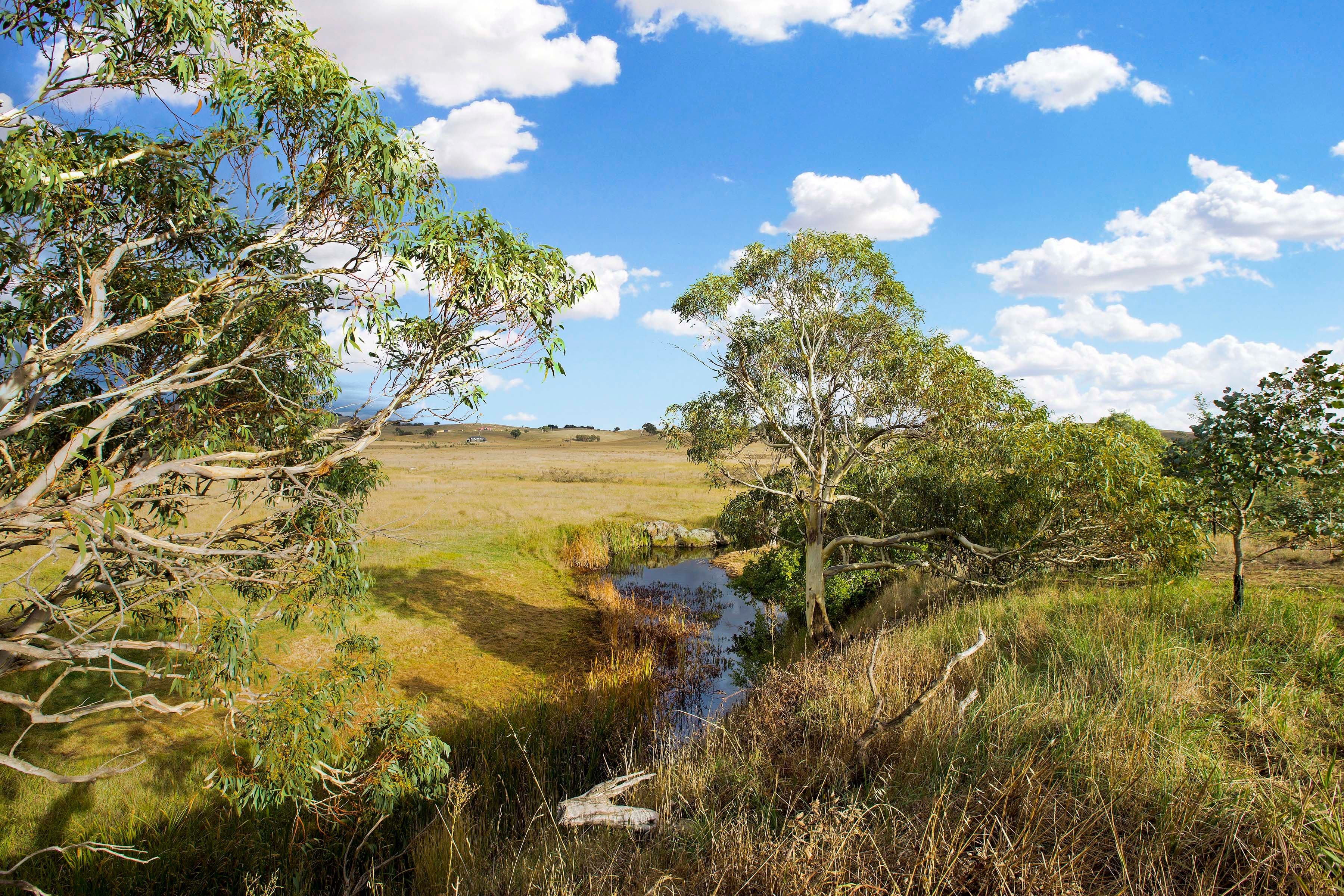 Lot 2, 72 Birril Close, Springrange NSW 2618, Springrange - Thumbnail 5