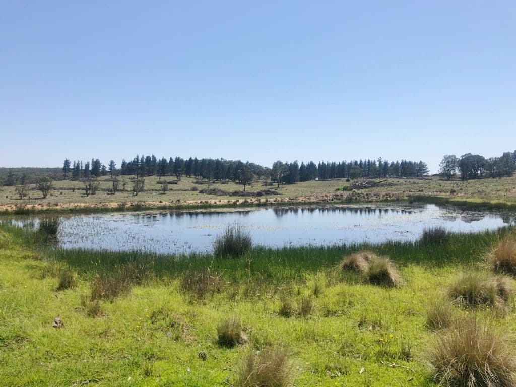 Lot 2 Mount Fairy Road, Mount Fairy NSW 2580, Mount Fairy - Thumbnail 2