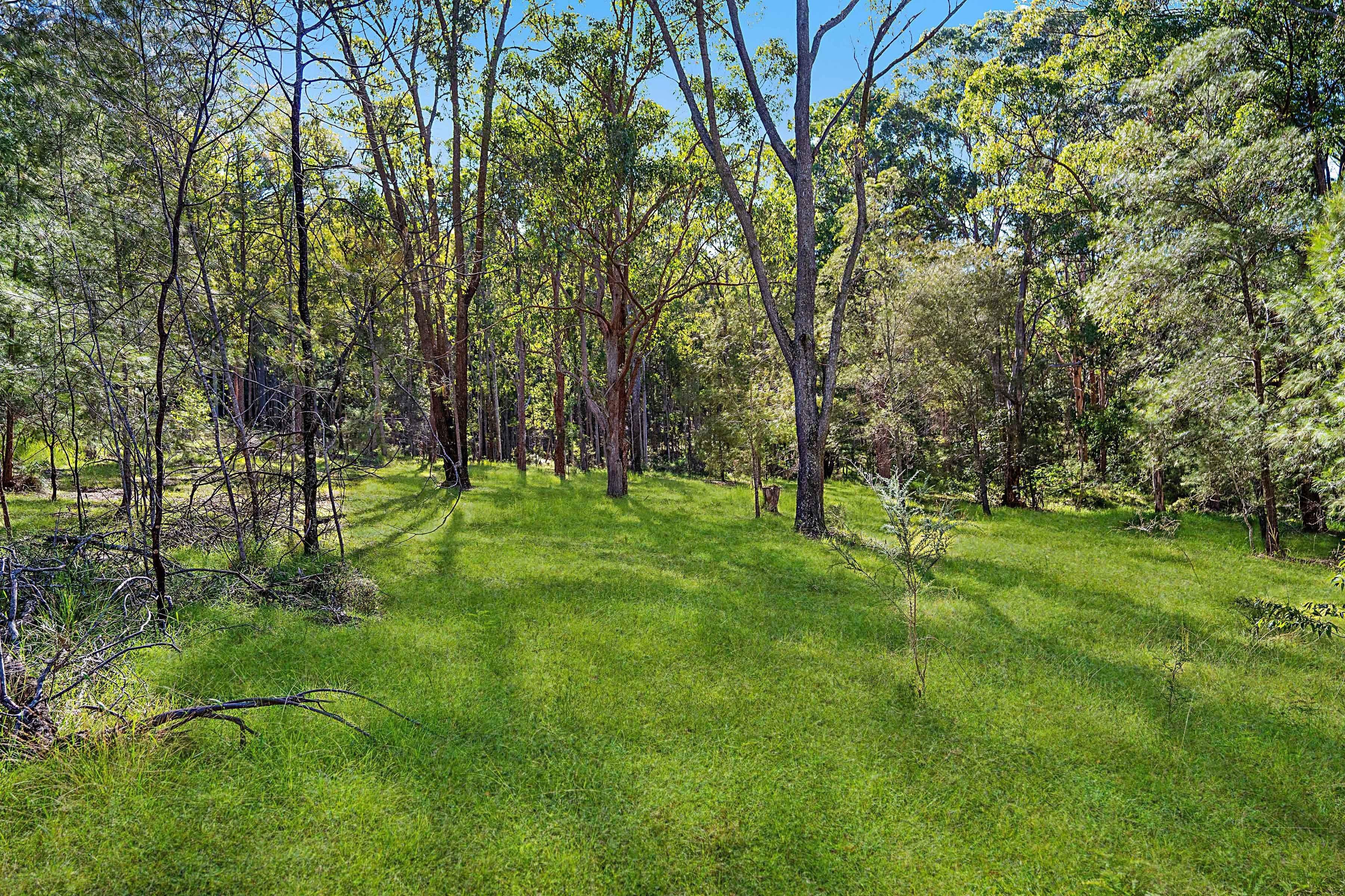 658 Mandalong Road, Mandalong NSW 2264, Mandalong - Thumbnail 6