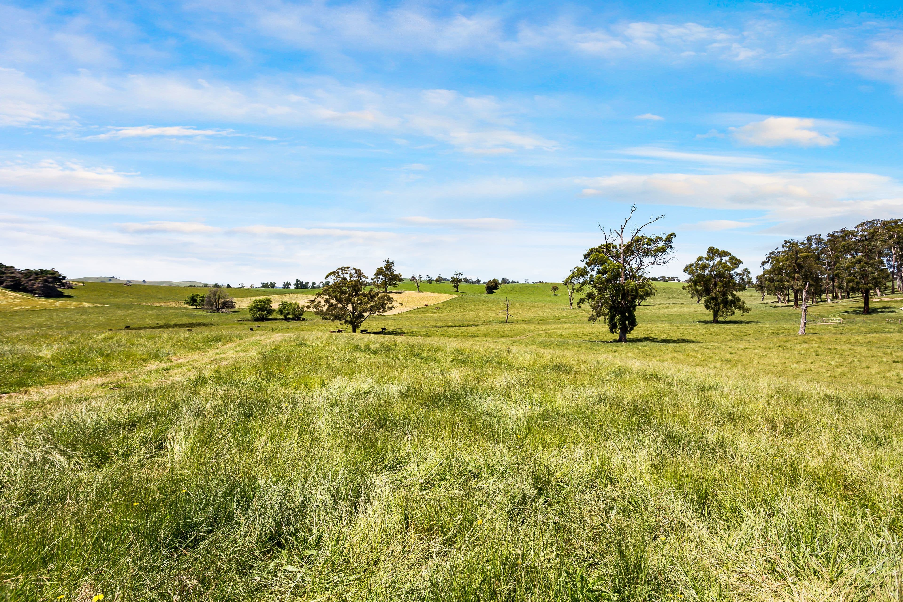 Lot 1 Standfields Road, Poowong North VIC 3988, Poowong North - Thumbnail 4