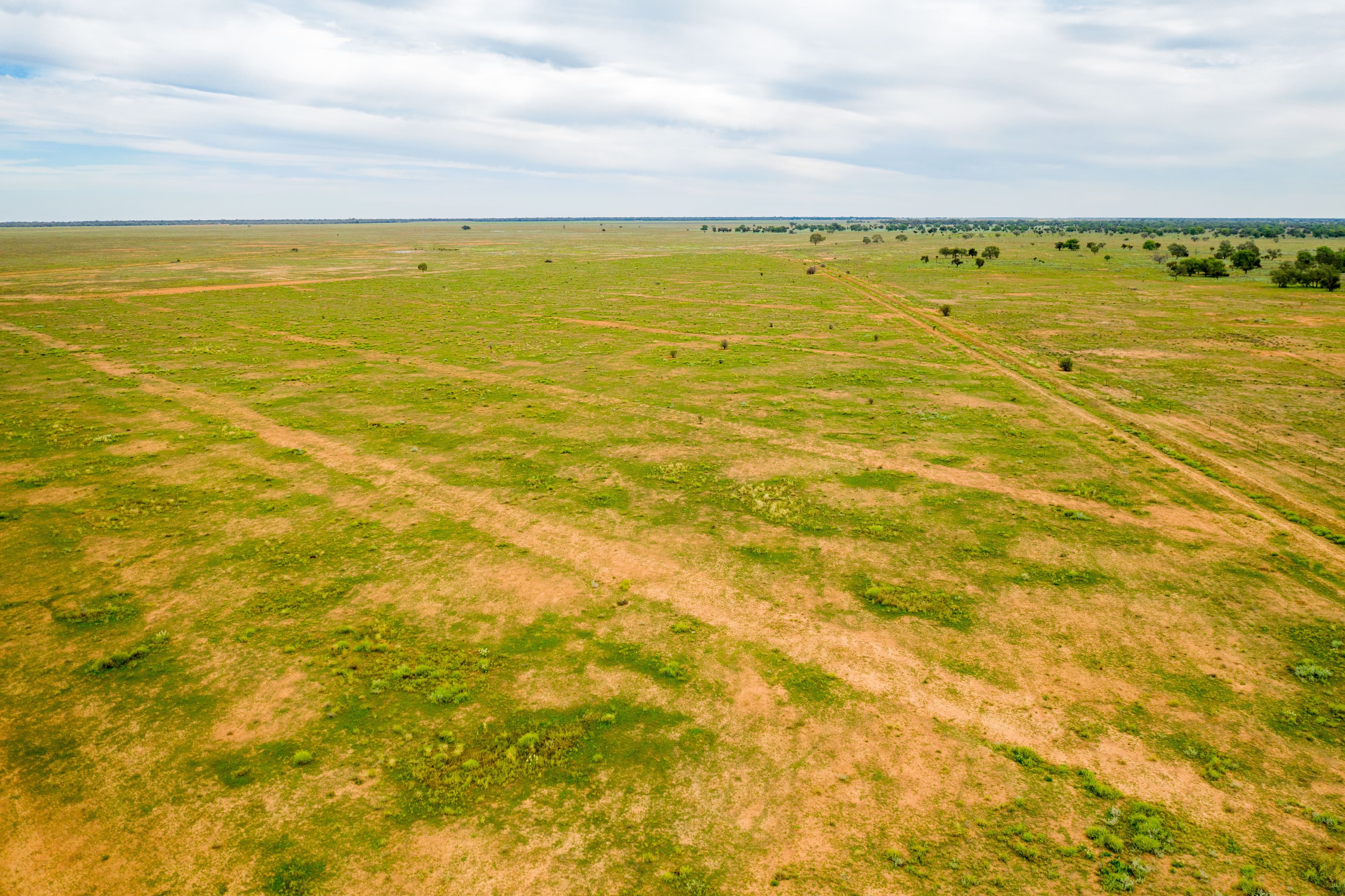 3297 Roto Road, Hillston NSW 2675, Hillston - Thumbnail 3