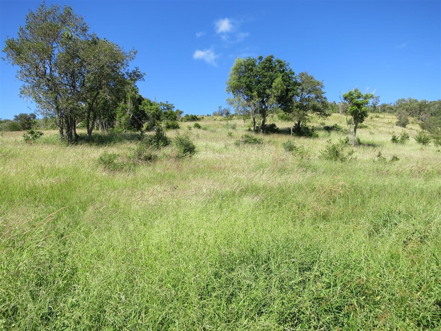 1395 Stanwell - Waroula Road, Dalma QLD 4702, Dalma - Thumbnail 2