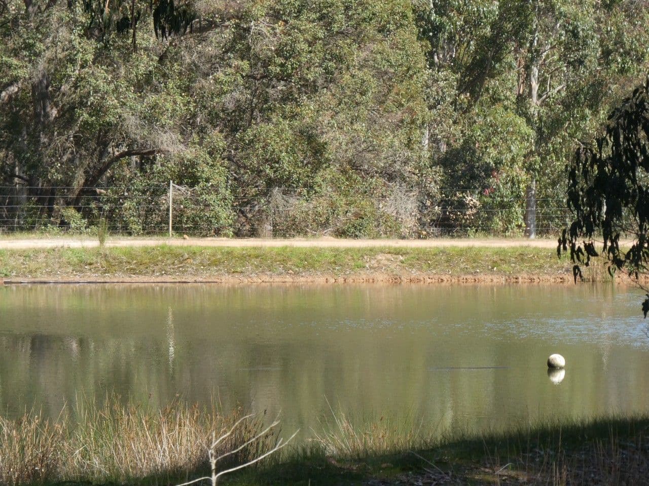 518 Harvey Road, Denbarker WA 6324, Denbarker - Thumbnail 8