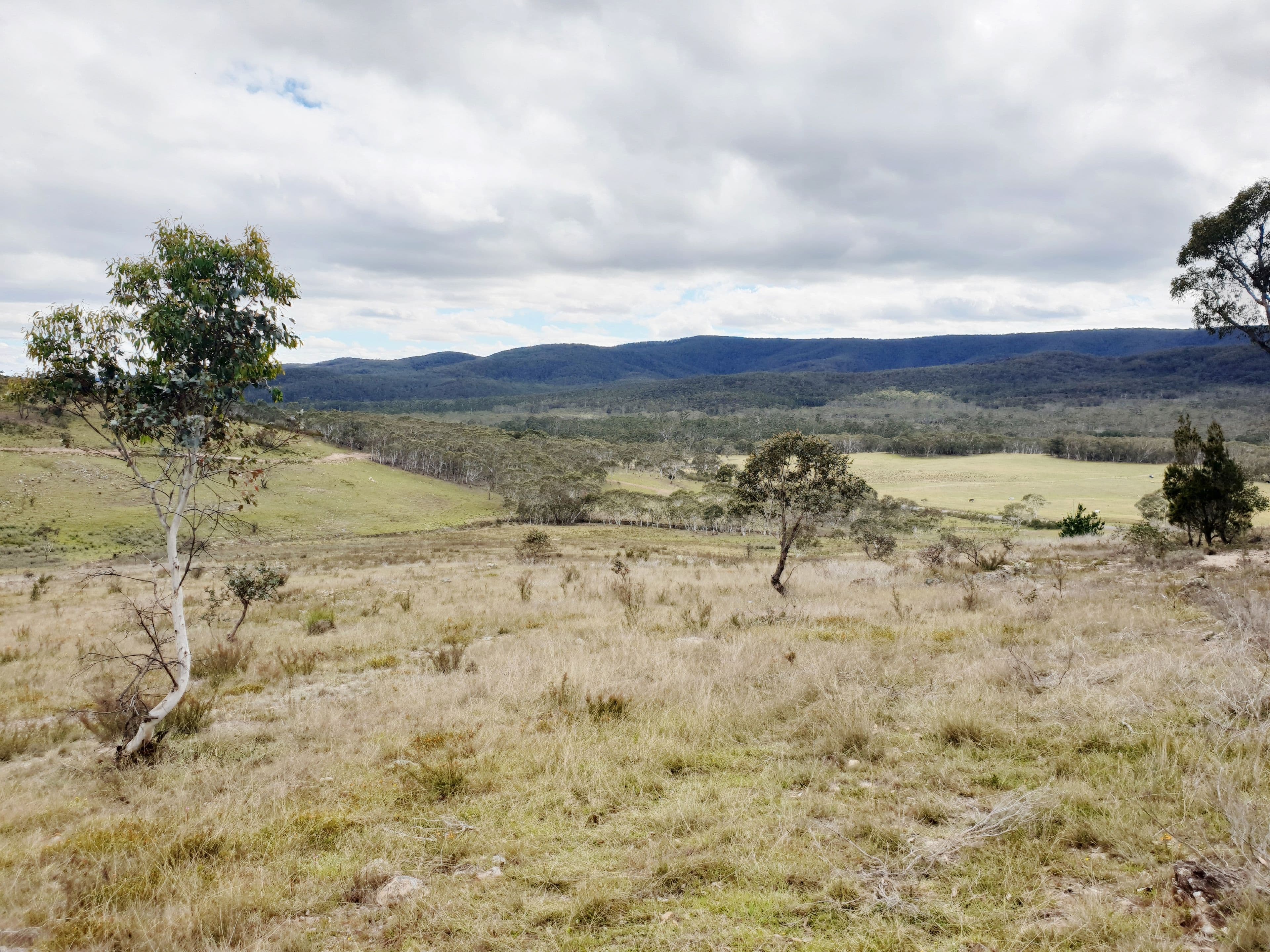 3364 Cooma Road, Braidwood NSW 2622, Braidwood - Thumbnail 5