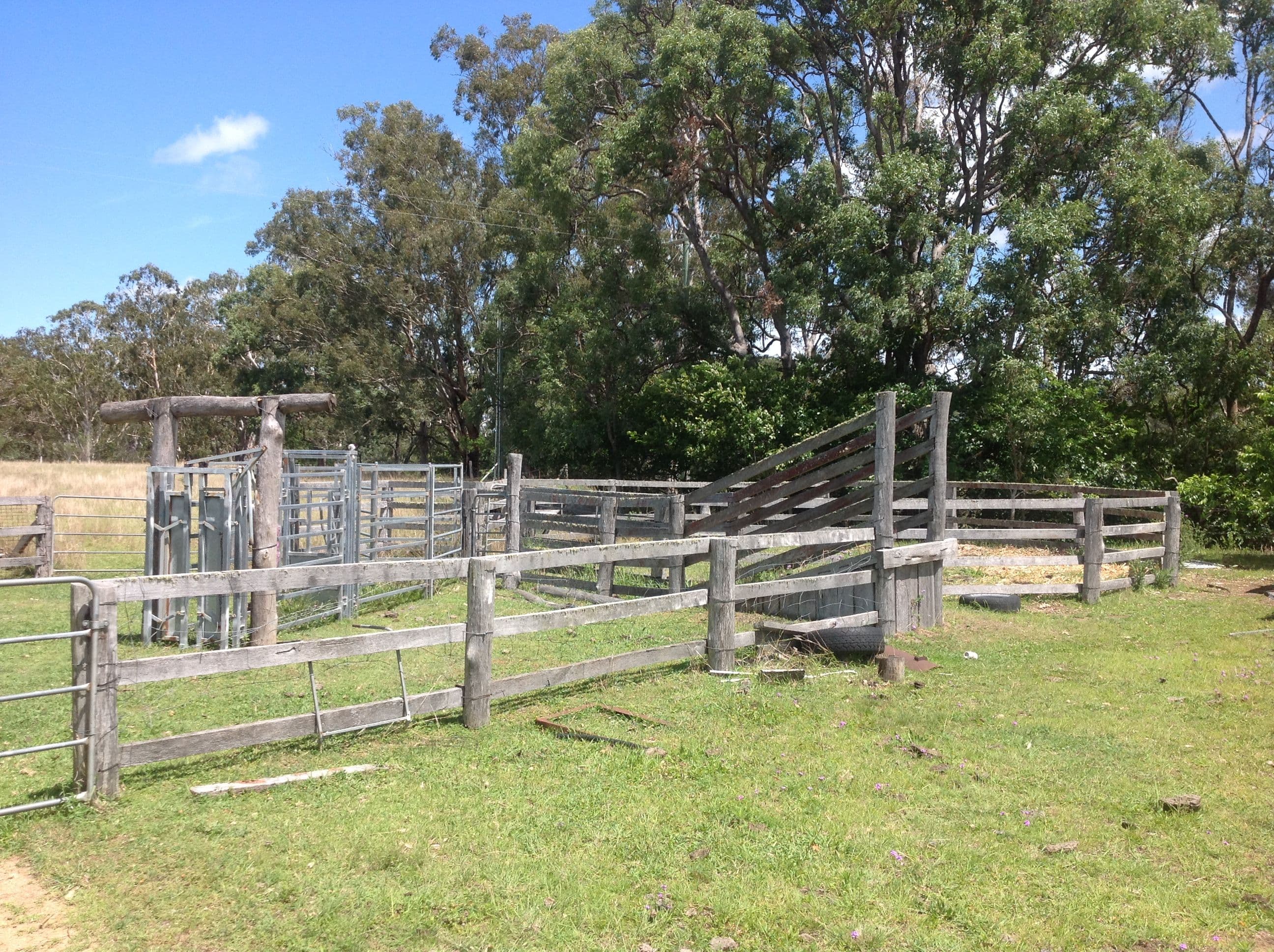 249 South Branch Road, Maryvale QLD 4370, Maryvale - Thumbnail 8