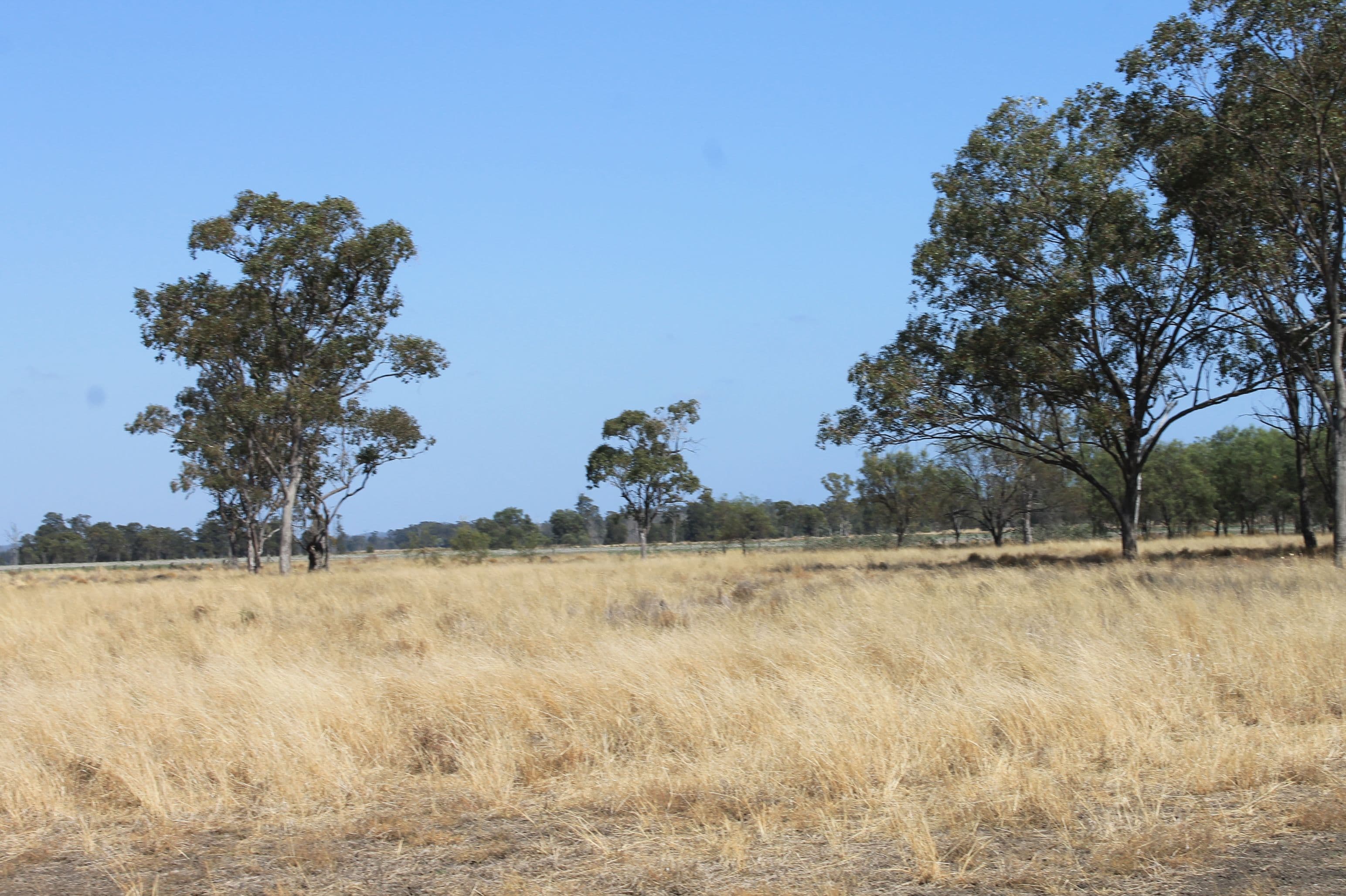 . Millmerran-Cecil Plains Road, Cecil Plains QLD 4407, Cecil Plains - Thumbnail 6