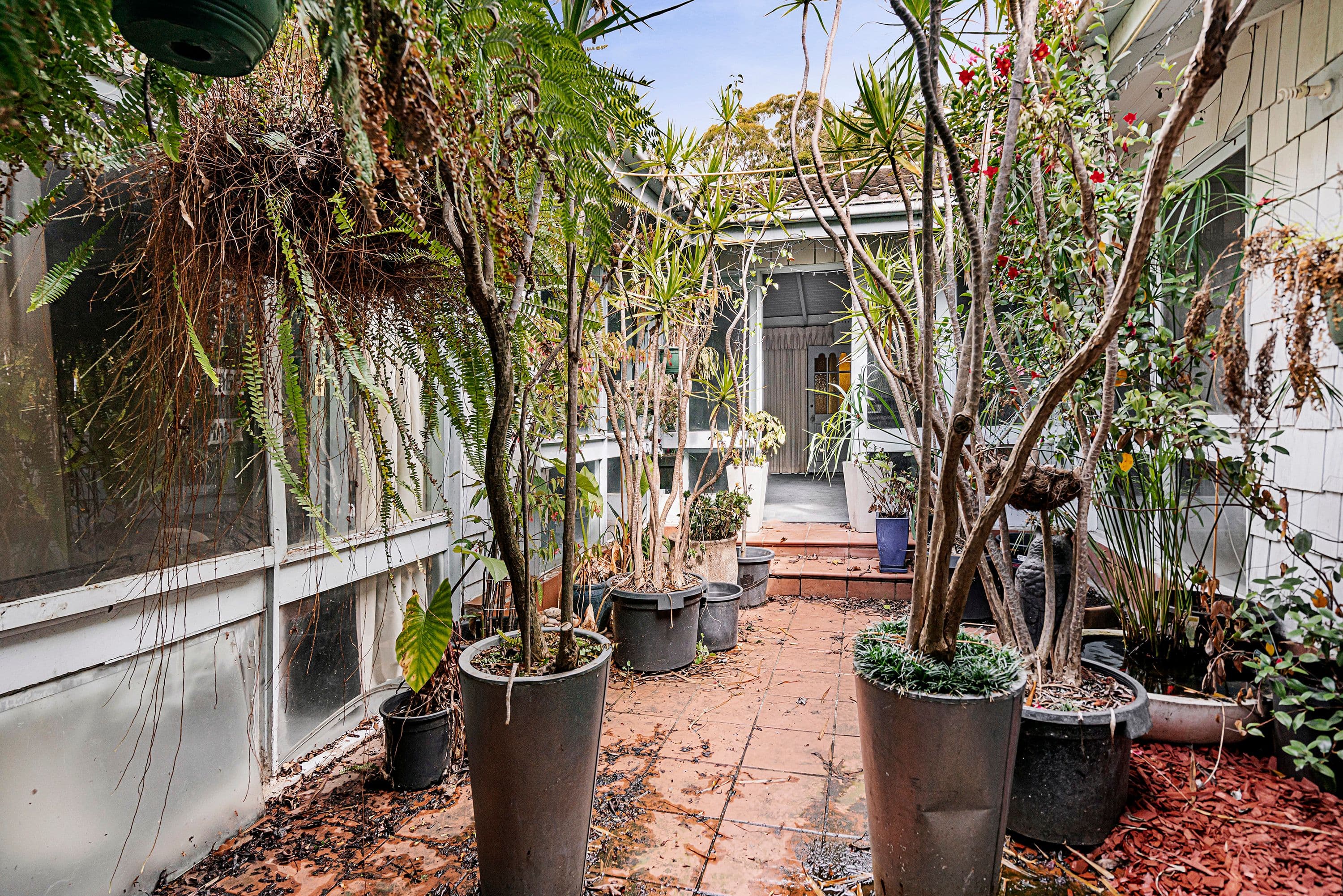331 Belmore Road, Balwyn North VIC 3104, Balwyn North - Thumbnail 2