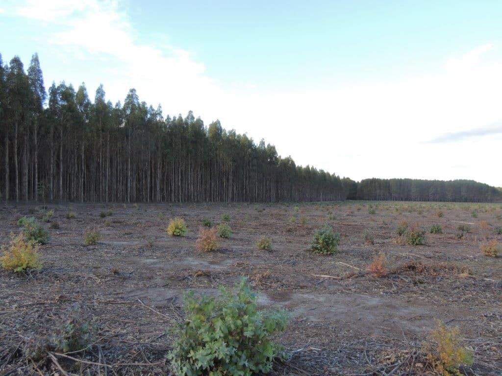 1583 Bandit Road, Denmark WA 6333, Denmark - Thumbnail 2