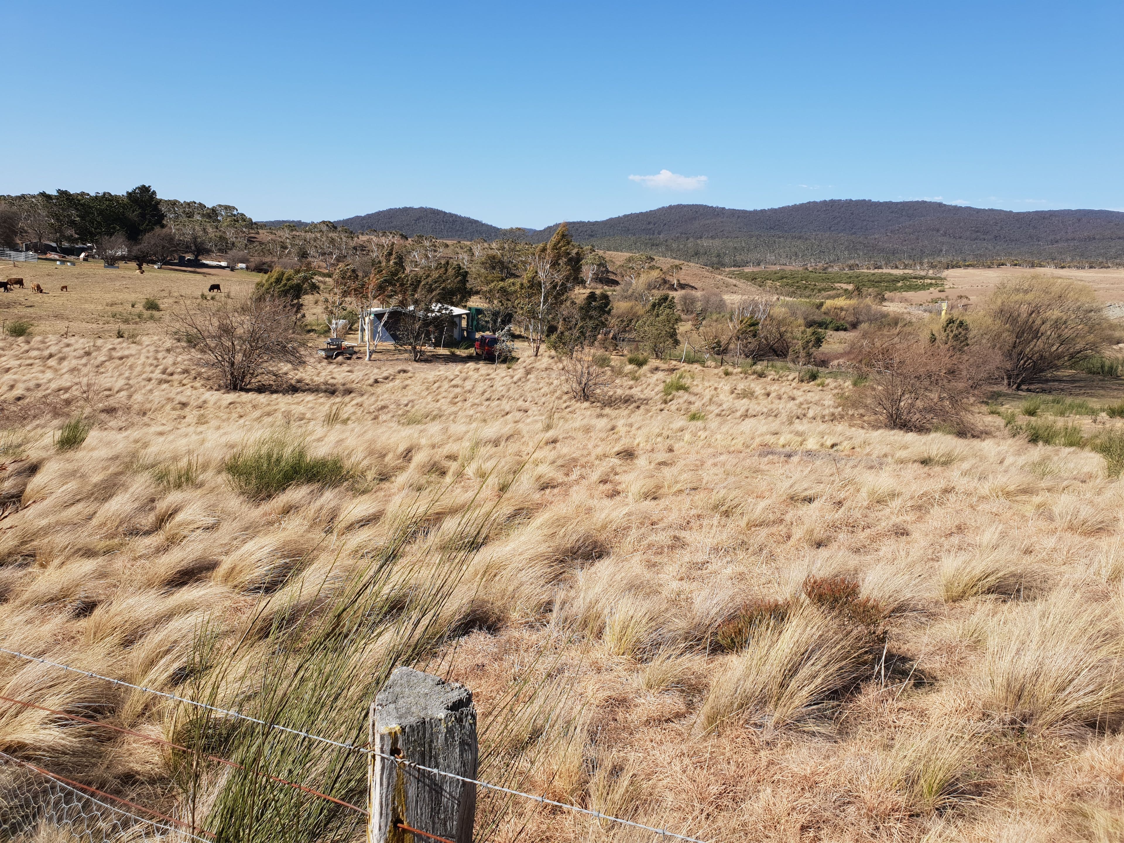 4639 Cooma Road, Krawarree, Braidwood NSW 2622, Braidwood - Thumbnail 3