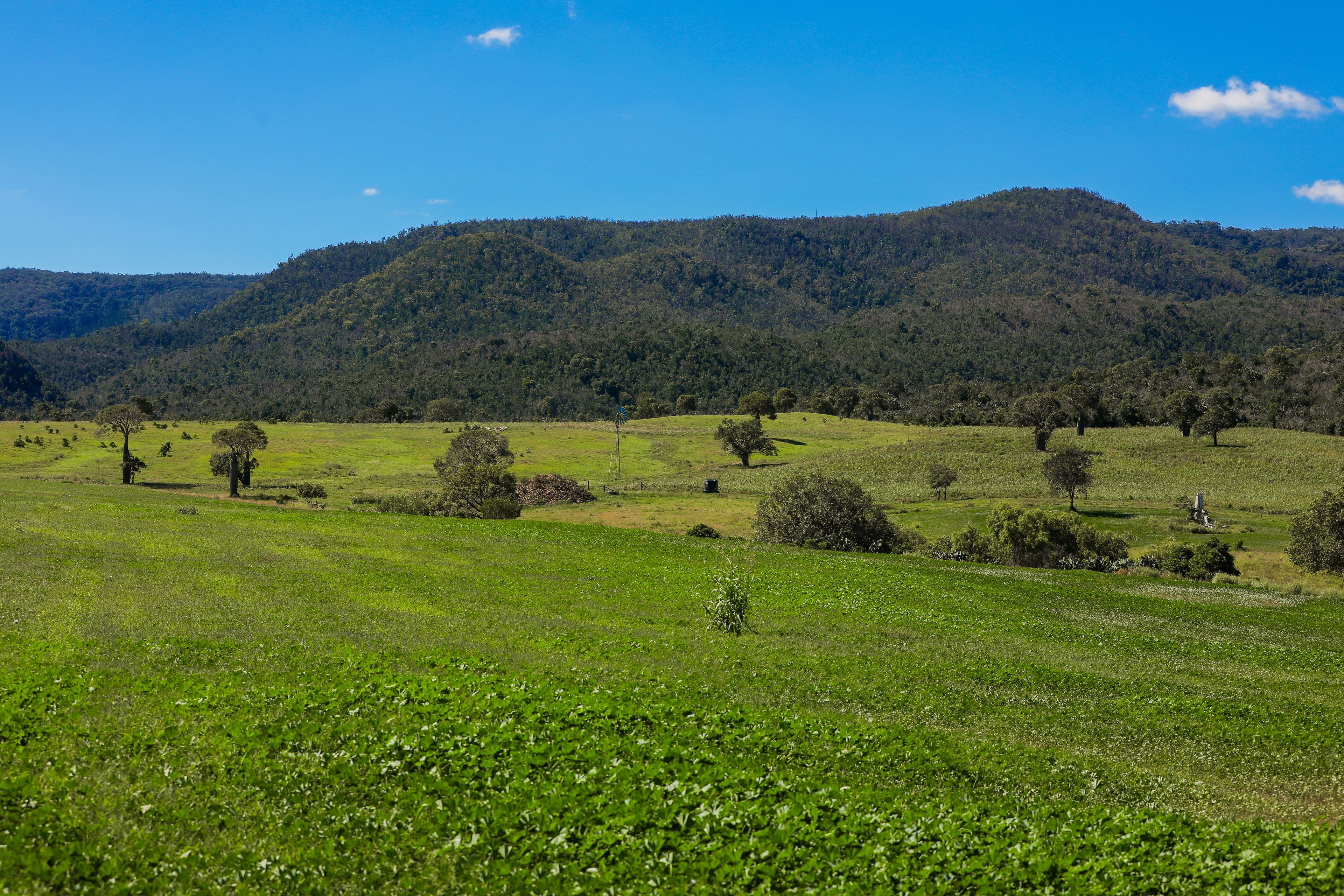 690 Sunnyvale Road, Bell QLD 4408, Bell - Thumbnail 5