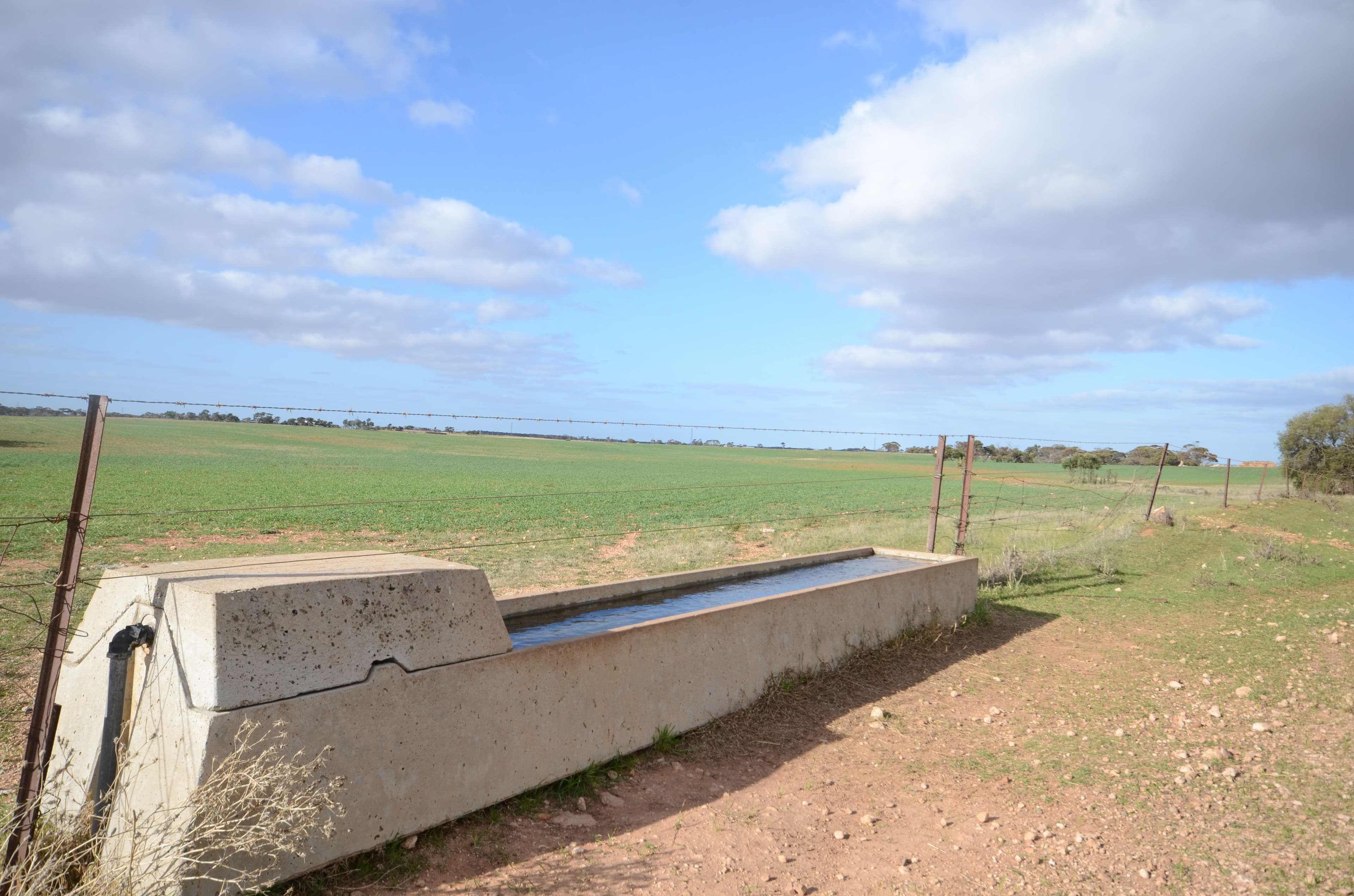"Roockes" and "Schulzs" - Von Reiben Road, Neales Flat SA 5374, Neales Flat - Thumbnail 5
