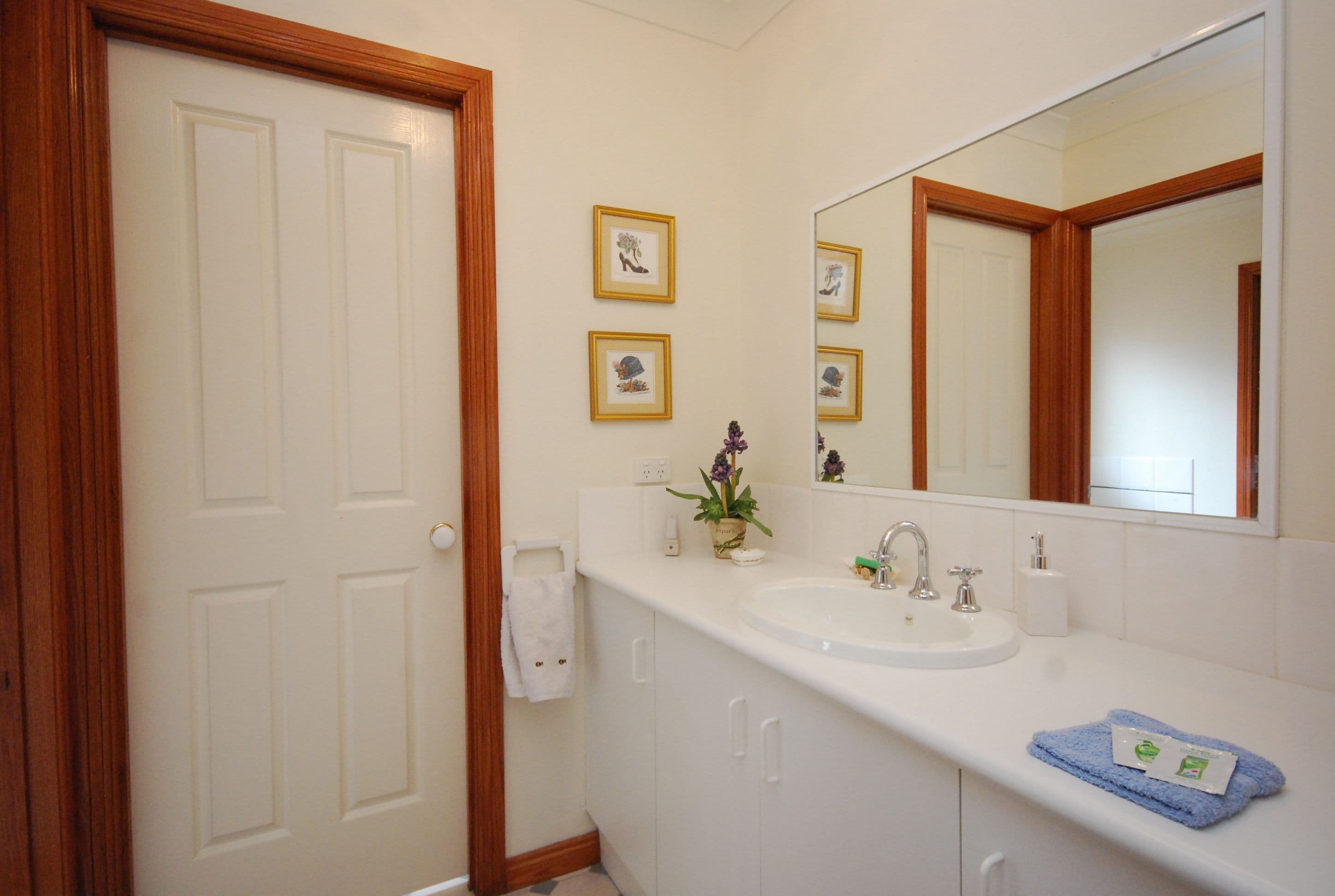 24 Lauderdale Avenue, Alfredton  Victoria  3350, Australia, Alfredton - Thumbnail 6