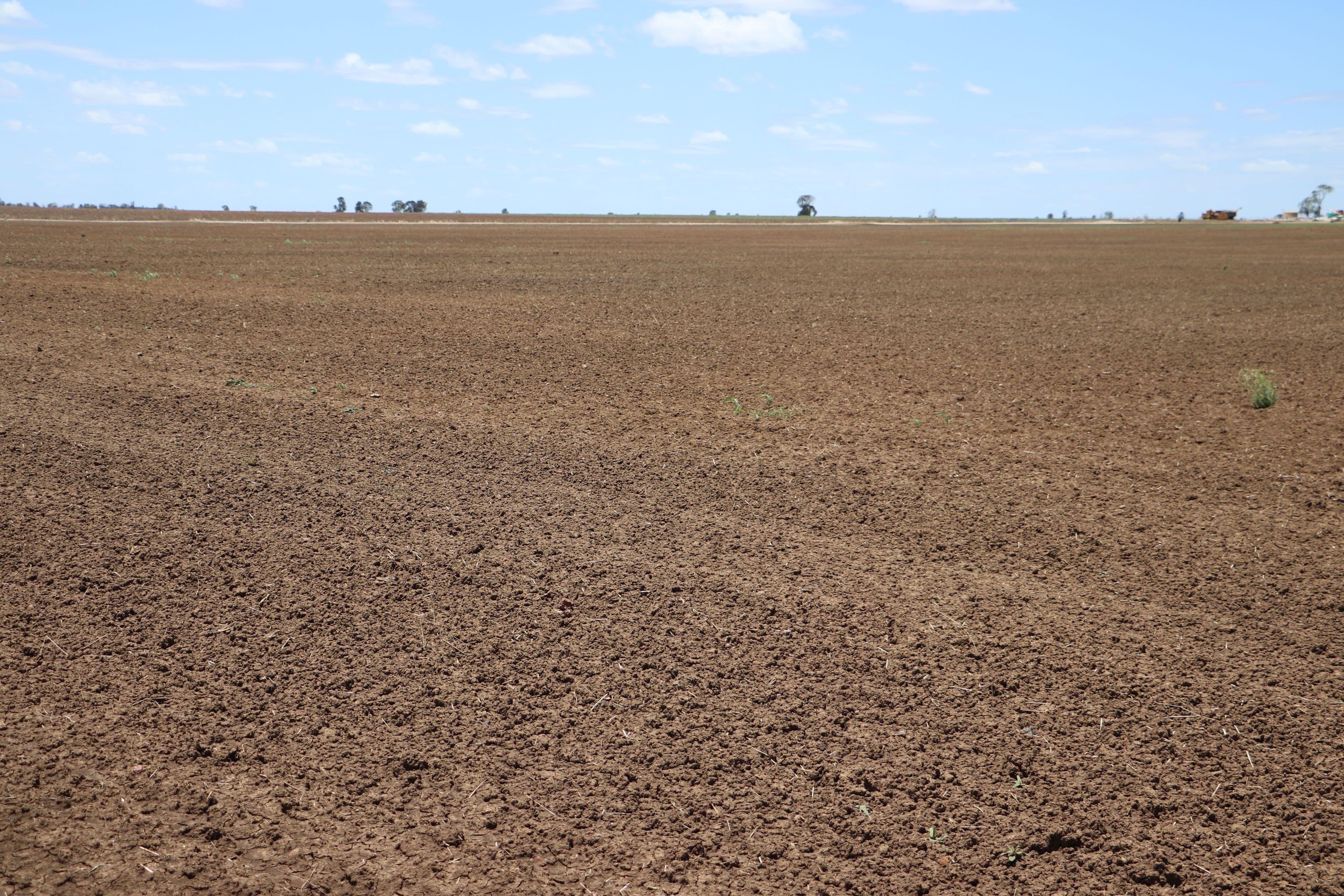 0 Mount Abundance Road, Roma QLD 4455, Roma - Thumbnail 5