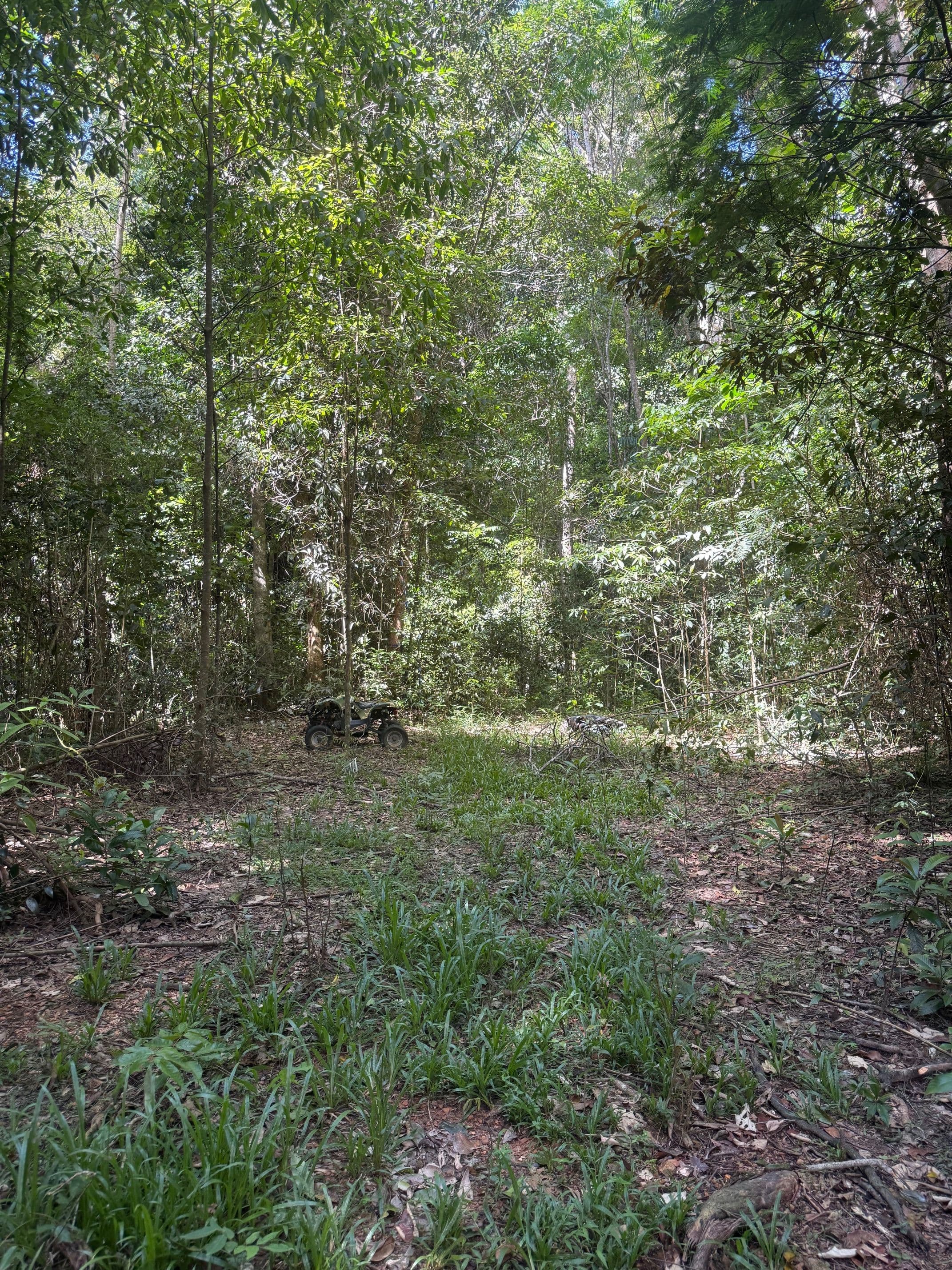 48 Sanctuary Close, Speewah QLD 4881, Speewah - Thumbnail 5