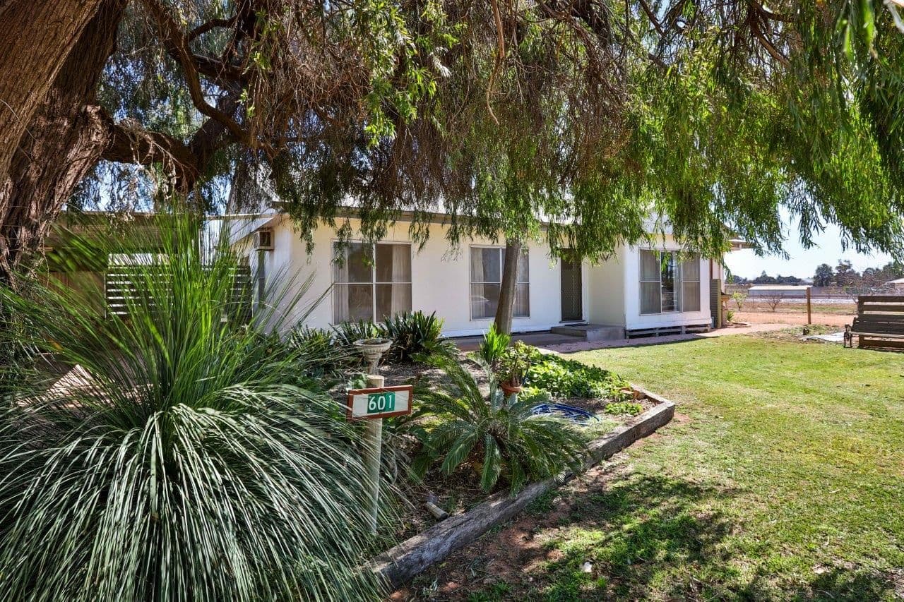 601 Irymple Avenue, Irymple VIC 3498, Irymple - Thumbnail 3