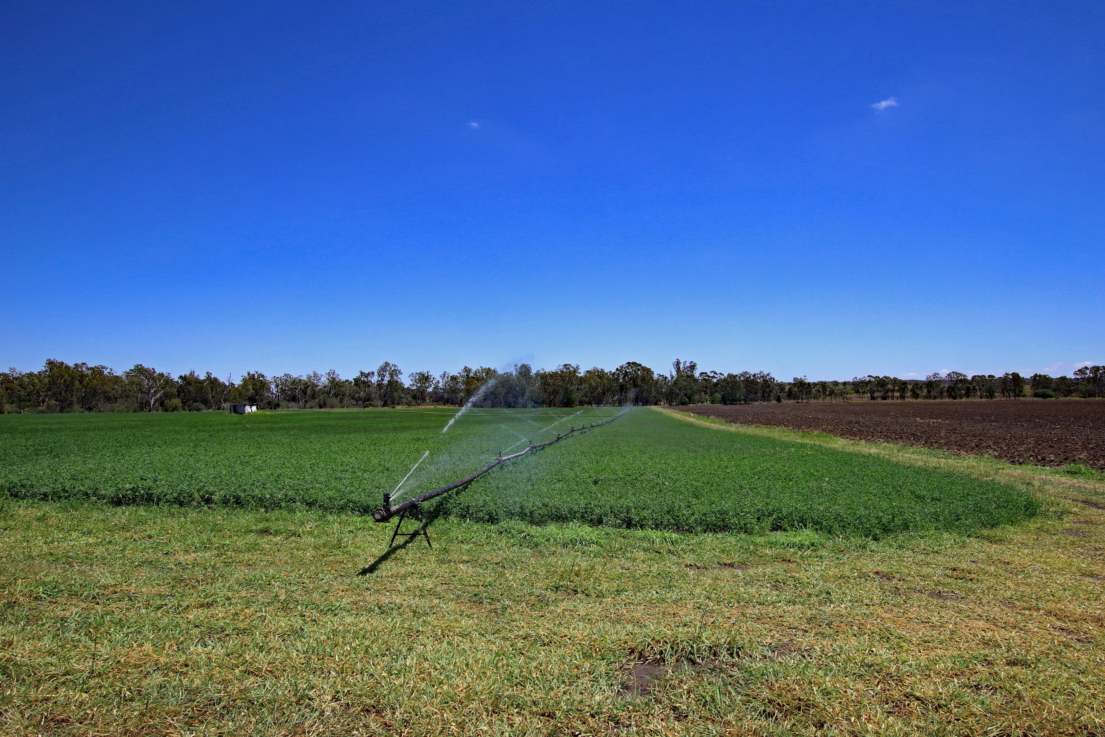 215 Fiveways Mount Eugene Road, Goovigen QLD 4702, Goovigen - Thumbnail 2